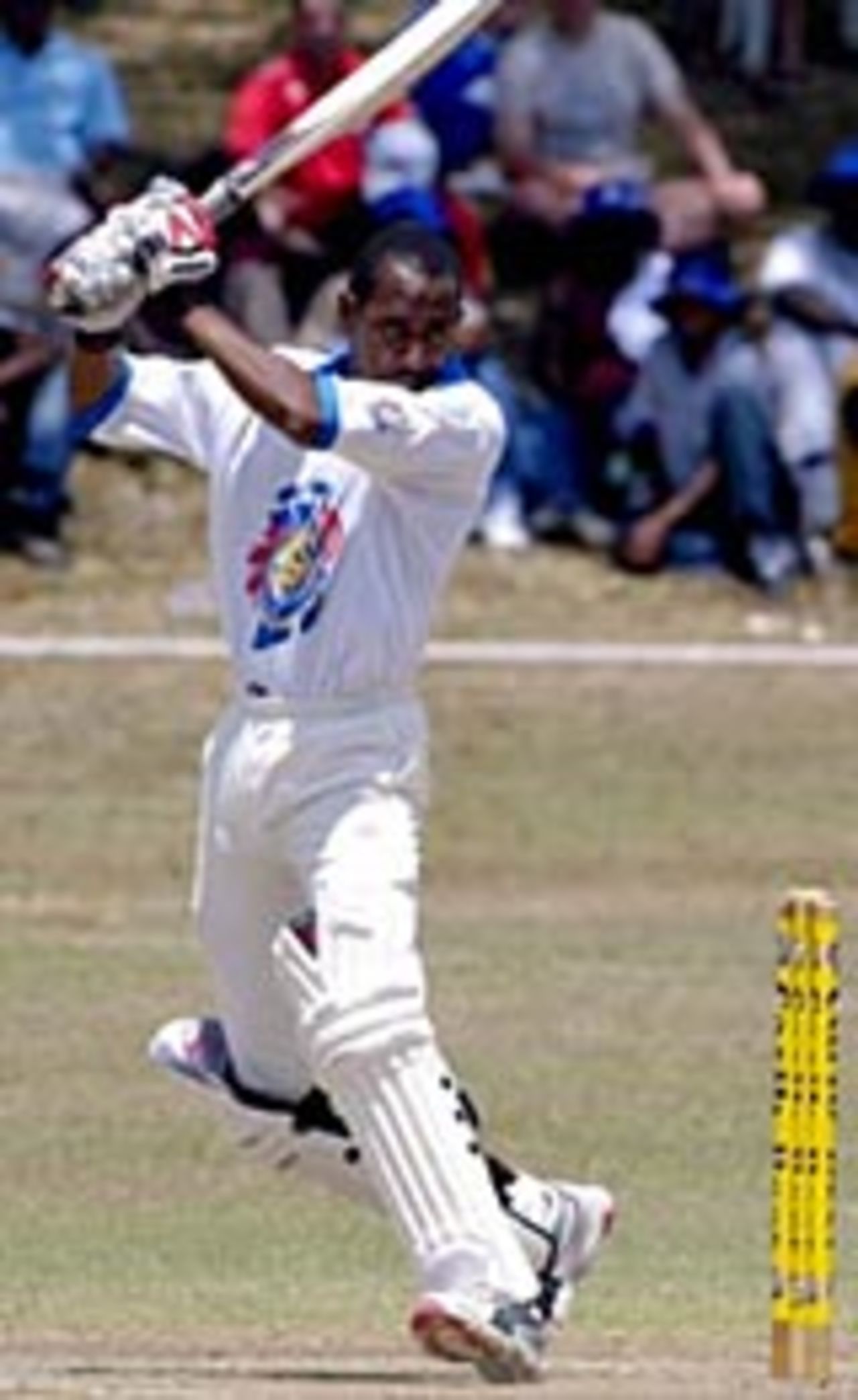 Ian Bradshaw hit out on his way to 81, Barbados v Guyana, Carib Beer Cup, April 8, 2006