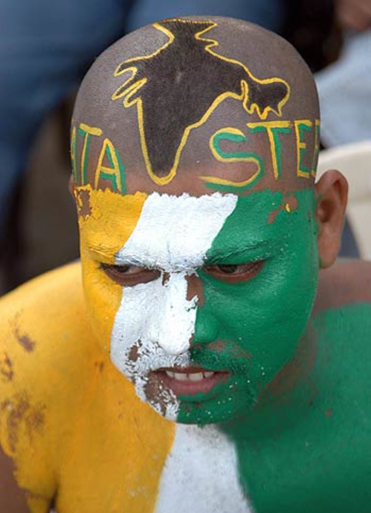 A painted fan watches India go down, India v England, 6th ODI, Jamshedpur, April 12, 2006