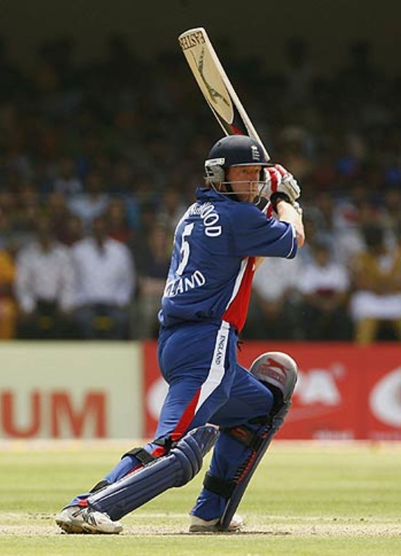 Paul Collingwood drives on the off side, India v England, 7th ODI, Indore, April 15 2006