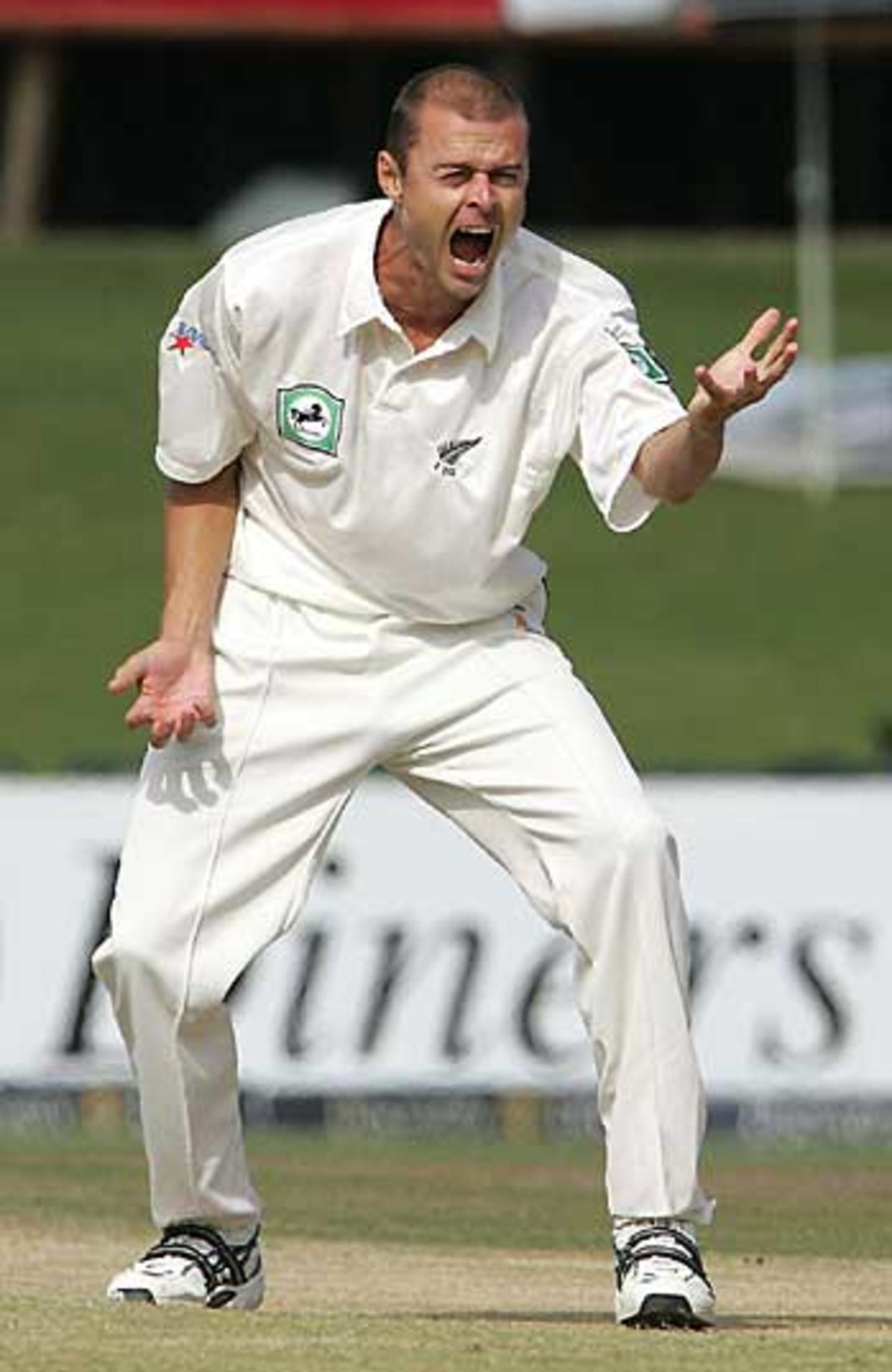 Chris Martin roars an appeal, South Africa v New Zealand, 1st Test, Centurion Park, April 17, 2006