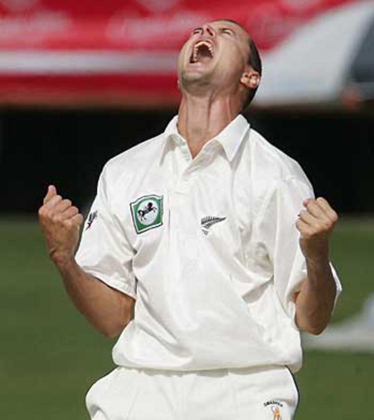Chris Martin celebrates a wicket, South Africa v New Zealand, 1st Test, Centurion Park, April 17, 2006