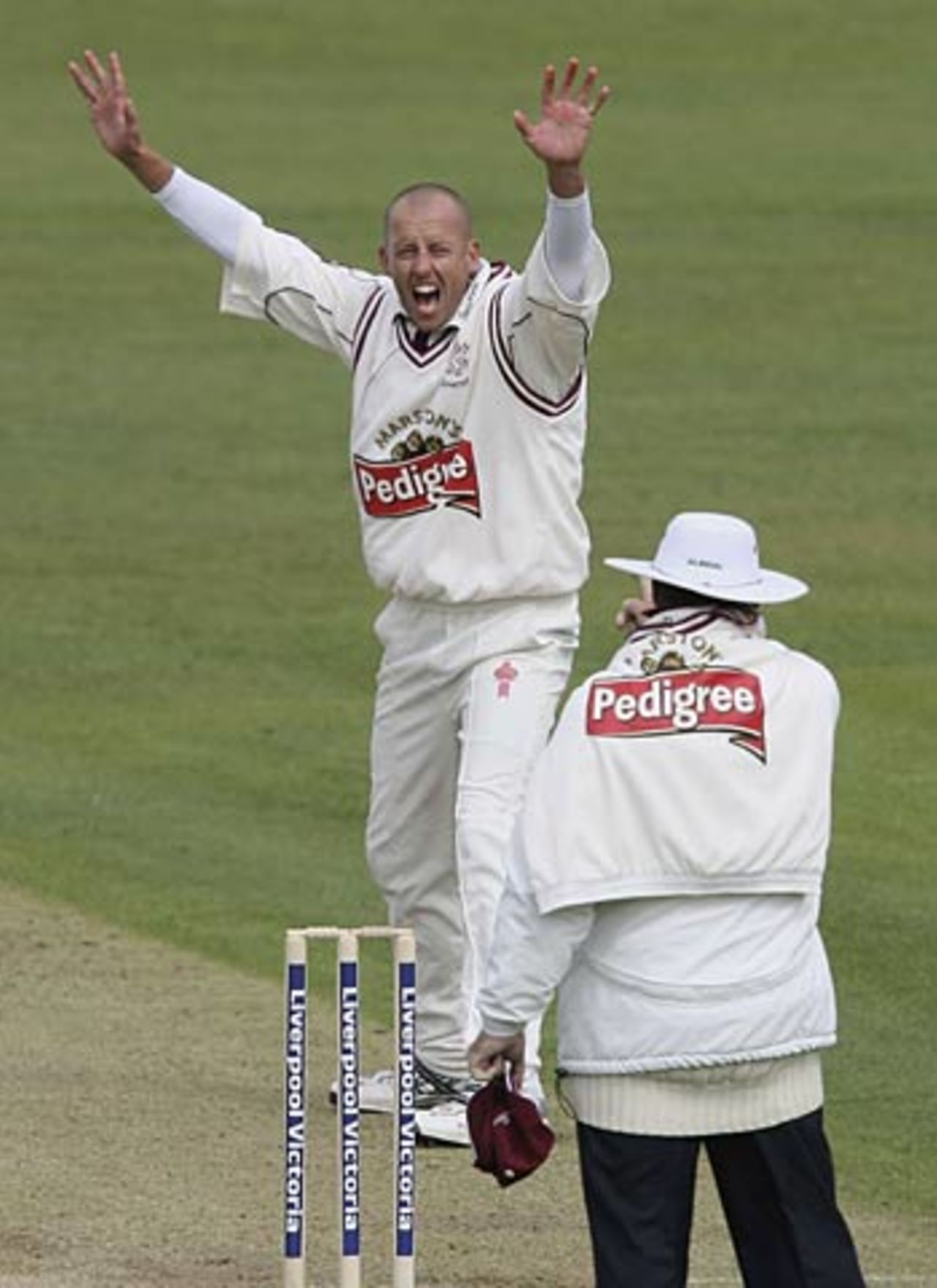 Charl Willoughby has an appeal upheld, Gloucestershire v Somerset, County Championship, Bristol, April 19, 2006