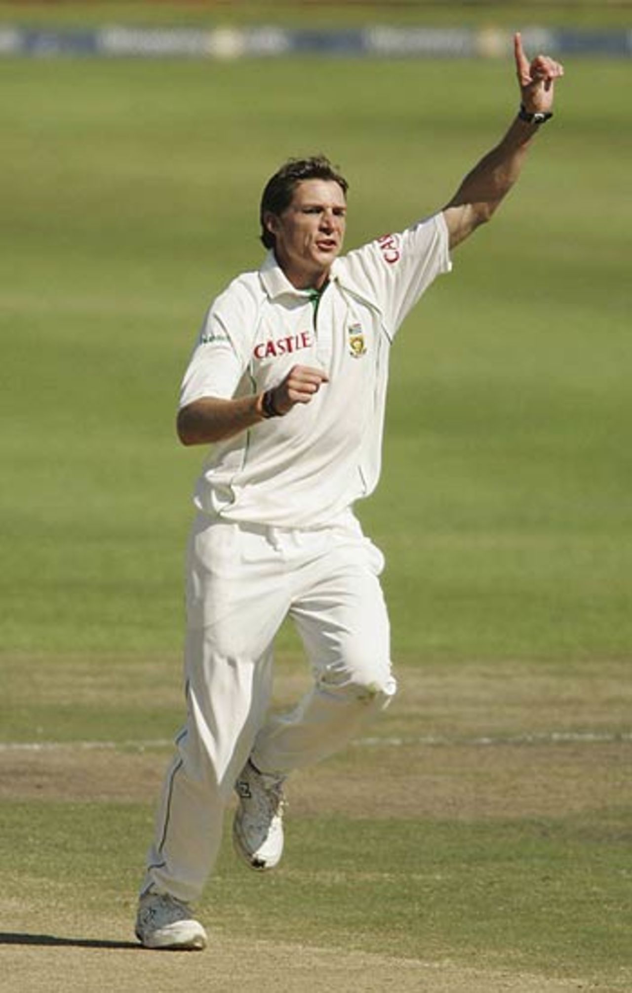 Dale Steyn appeals unsuccessfully against Stephen Fleming, South Africa v New Zealand, 2nd Test,Newlands, 2nd day April 28, 2006