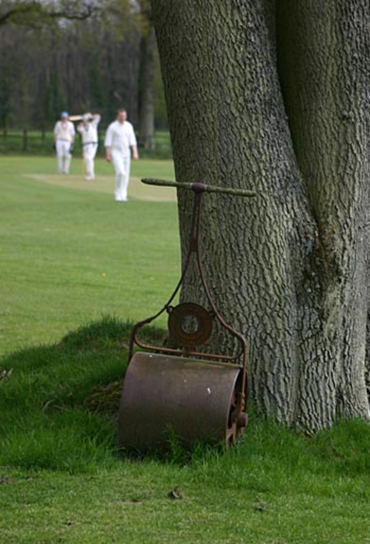 Rural cricket as the season springs into life, Old Spots v Old Cranleighans, Follies Farm, Surrey, April 29, 2006