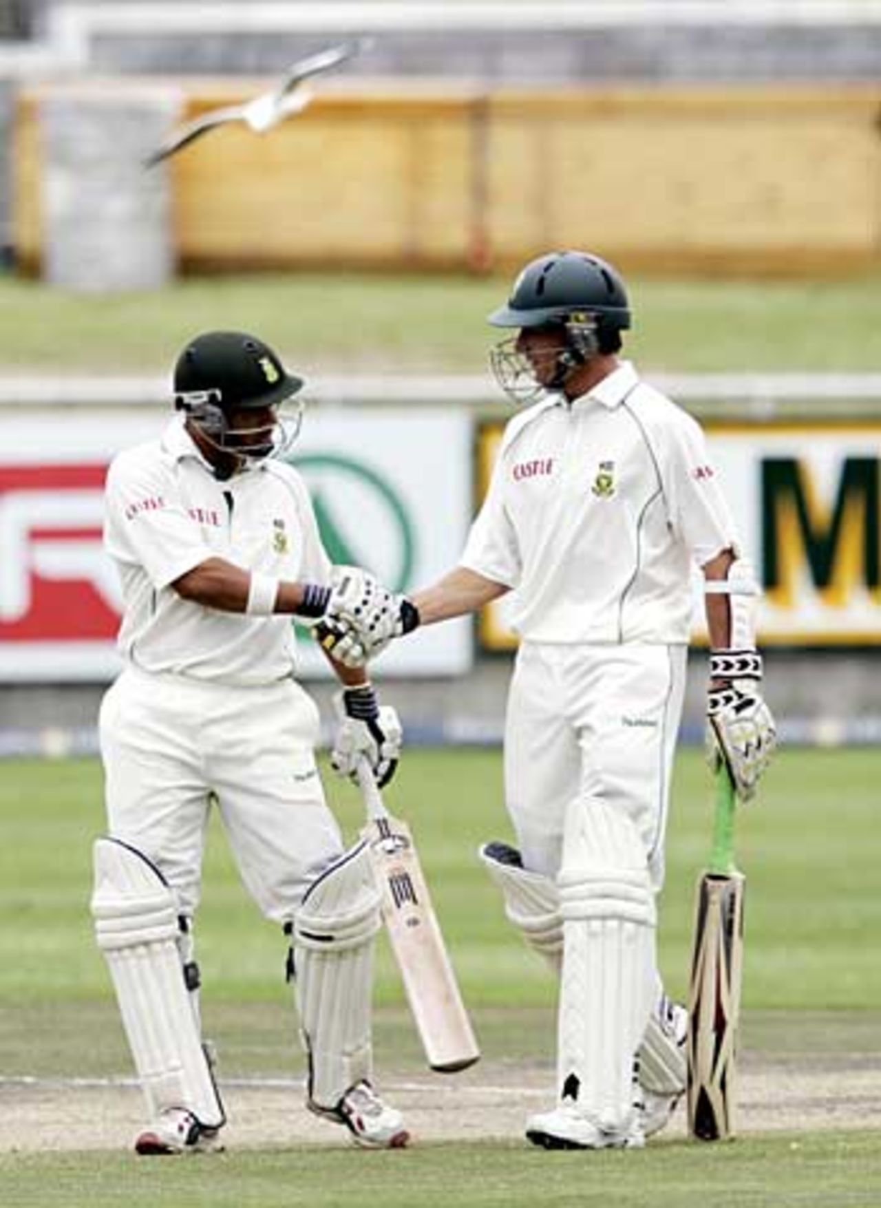 Dale Steyn congratulates Ashwell Prince on his hundred, South Africa v New Zealand, 2nd Test, Cape Town, May 1, 2006
