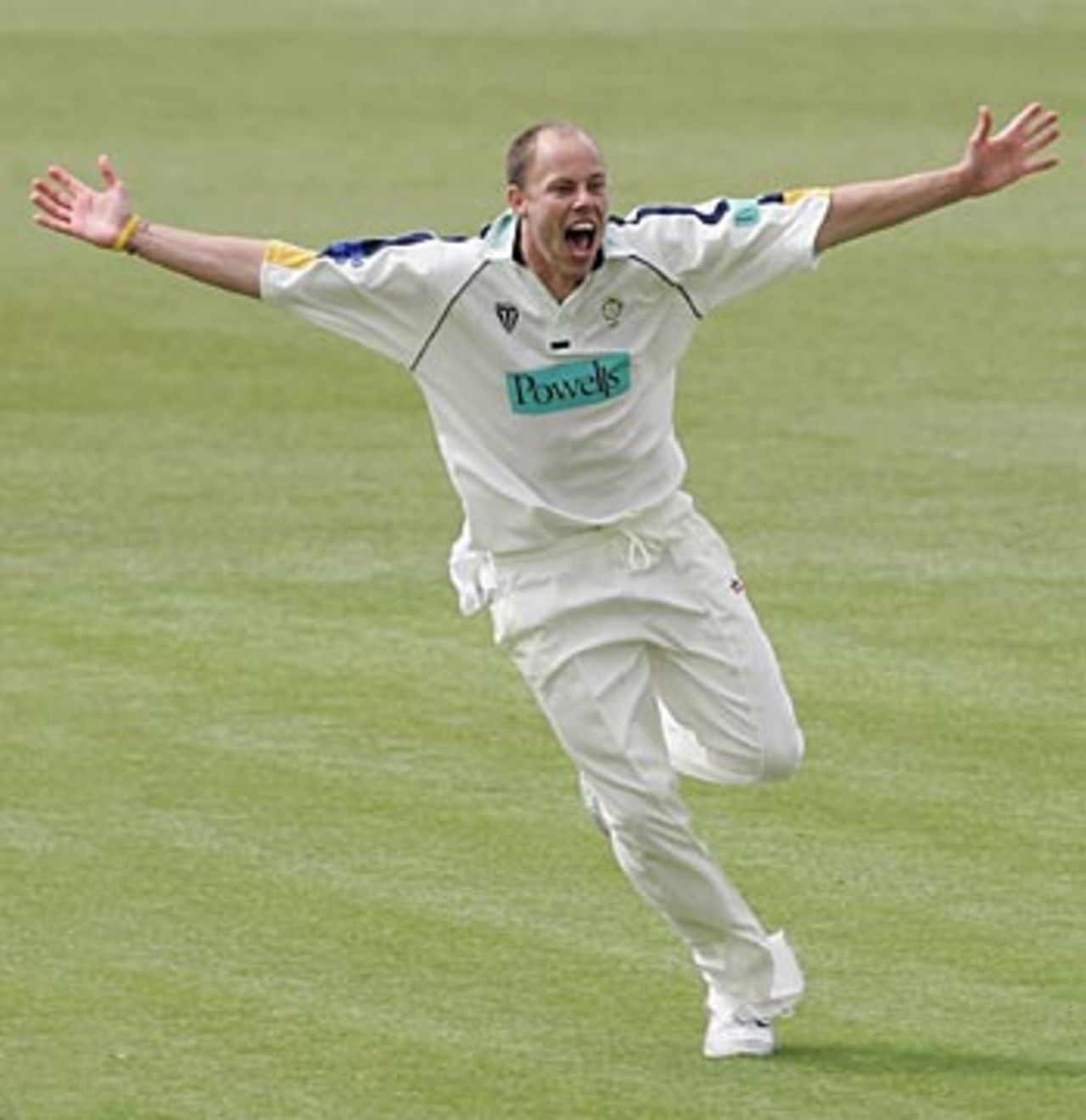Billy Taylor roars his delight after grabbing a hat-trick to rout Middlesex for 98, Hampshire v Middlesex, Southampton, May 3, 2006