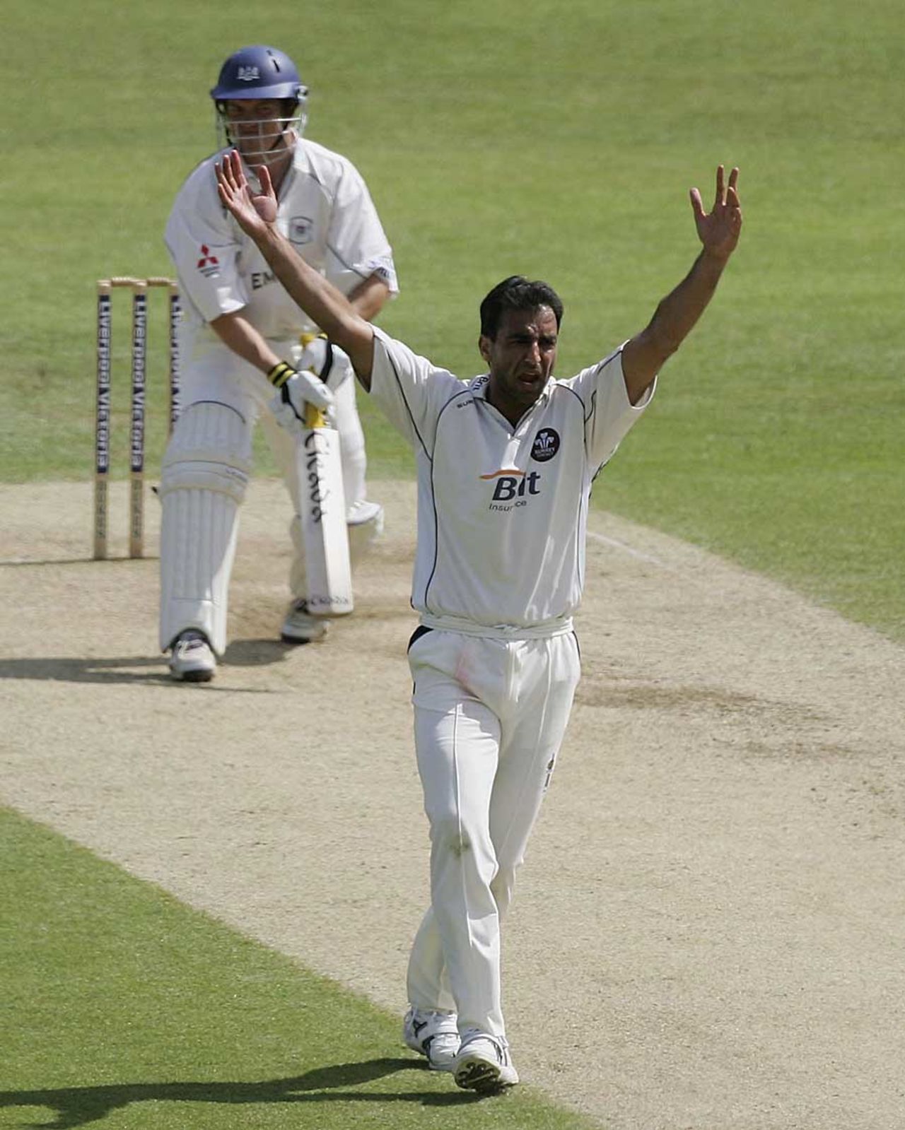 Mohammad Akram has Stephen Adshead caught behind, Surrey v  Gloucestershire, The Oval, May 5, 2006