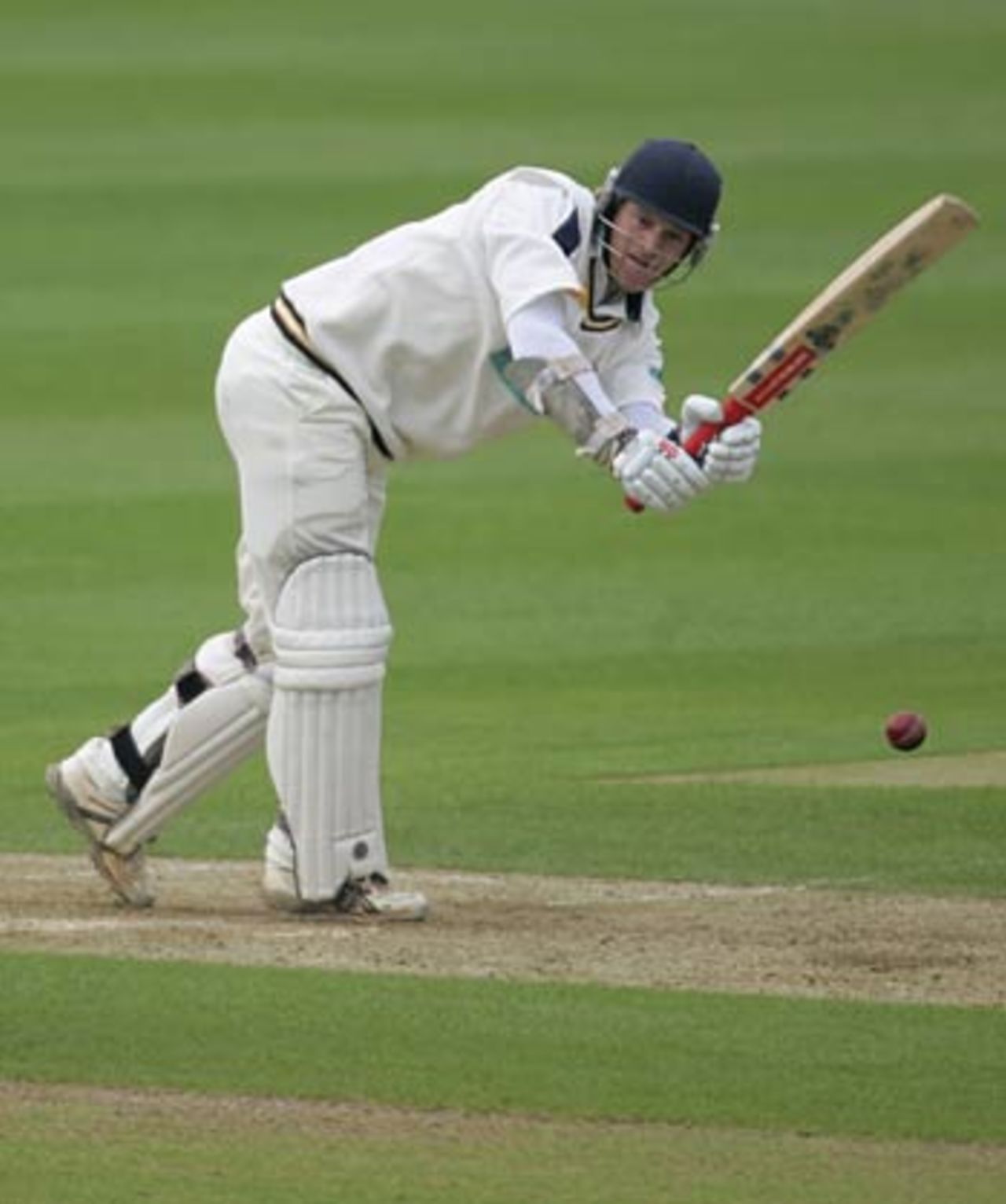 James Adams works a ball off his legs as he and Michael Carberry build a century opening stand, Warwickshire v Hampshire, County Championship, Edgbaston, May 9, 2006