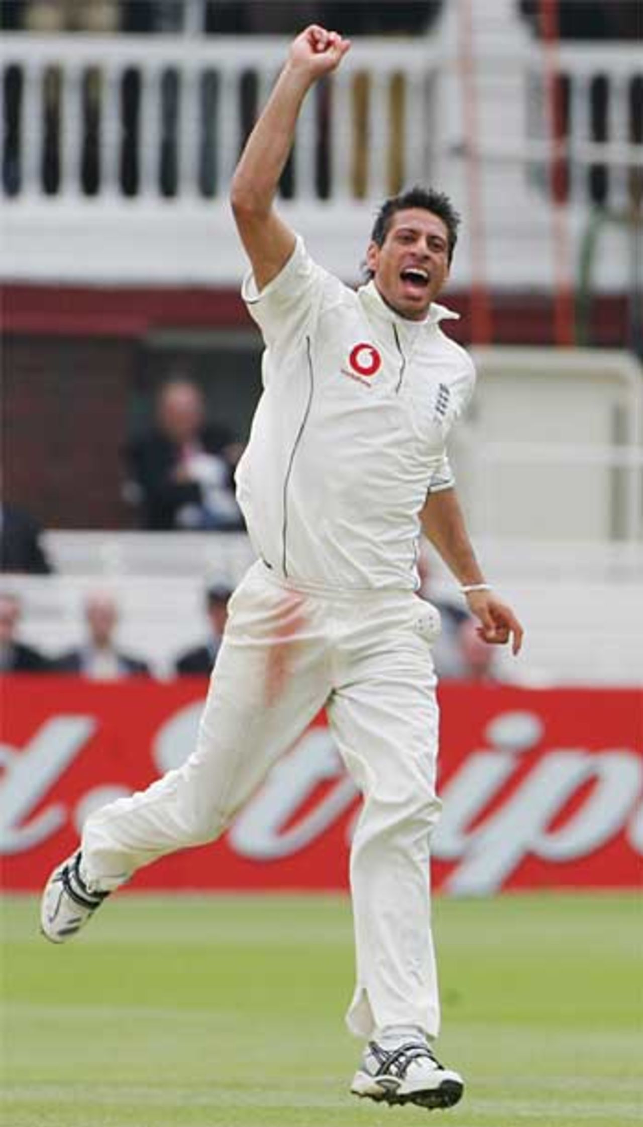 Sajid Mahmood celebrates again as he takes two wickets in 12 balls, England v Sri Lanka, 1st Test, Lord's, May 14, 2006