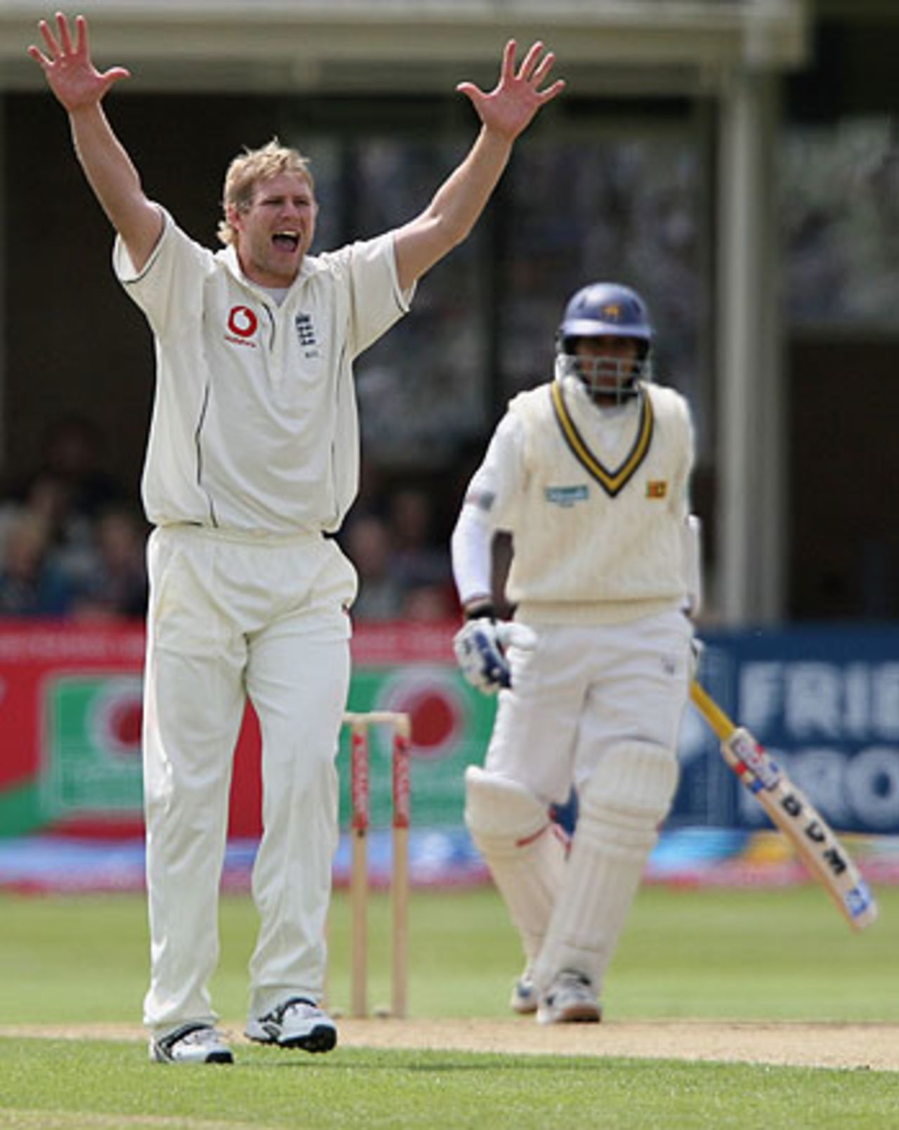 Matthew Hoggard appeals for the wicket of Thilan Samaraweera, England v Sri Lanka, 2nd Test, Edgbaston, May 25, 2006
