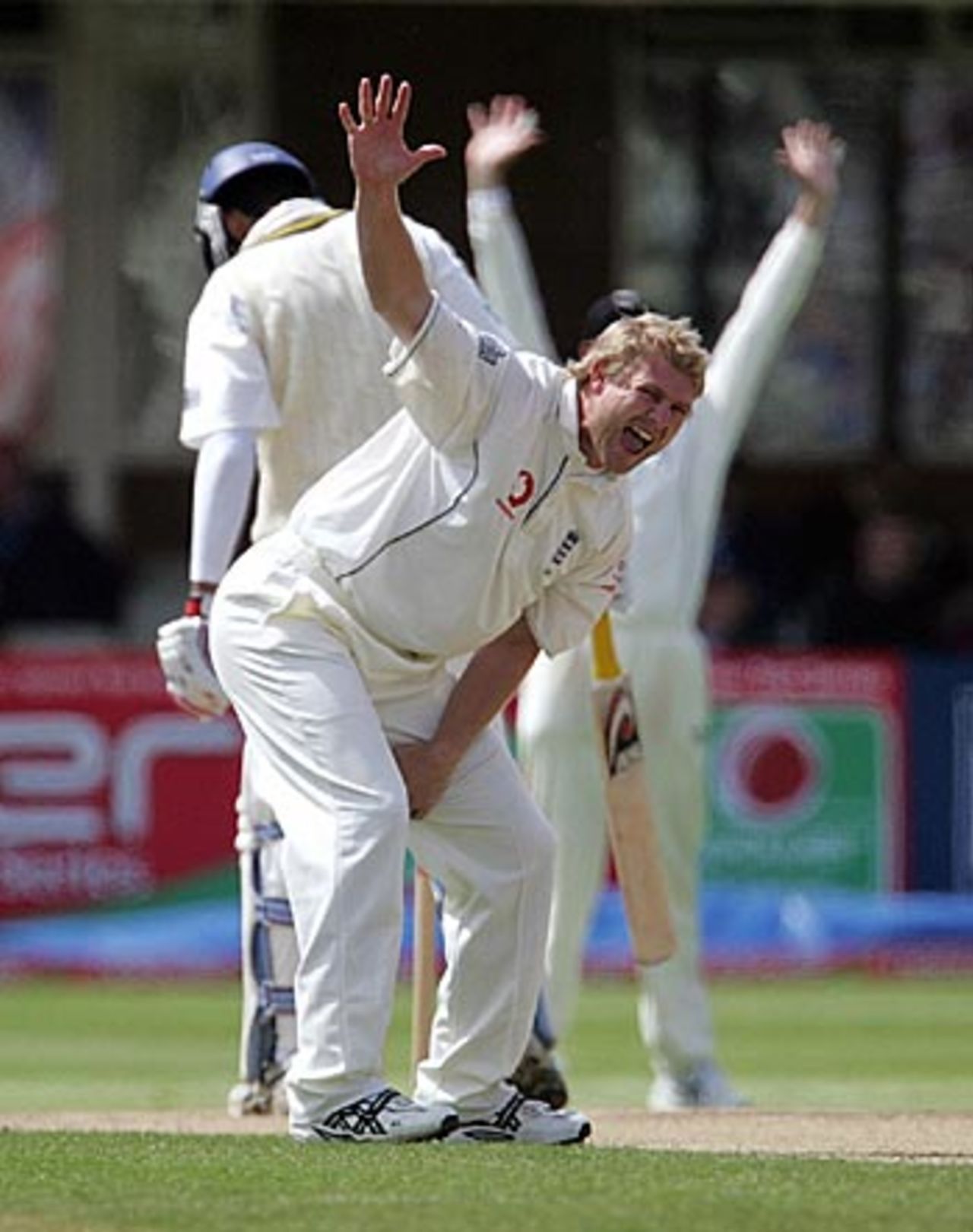 Matthew Hoggard roars a throaty appeal, England v Sri Lanka, 2nd Test, Edgbaston, May 28, 2006