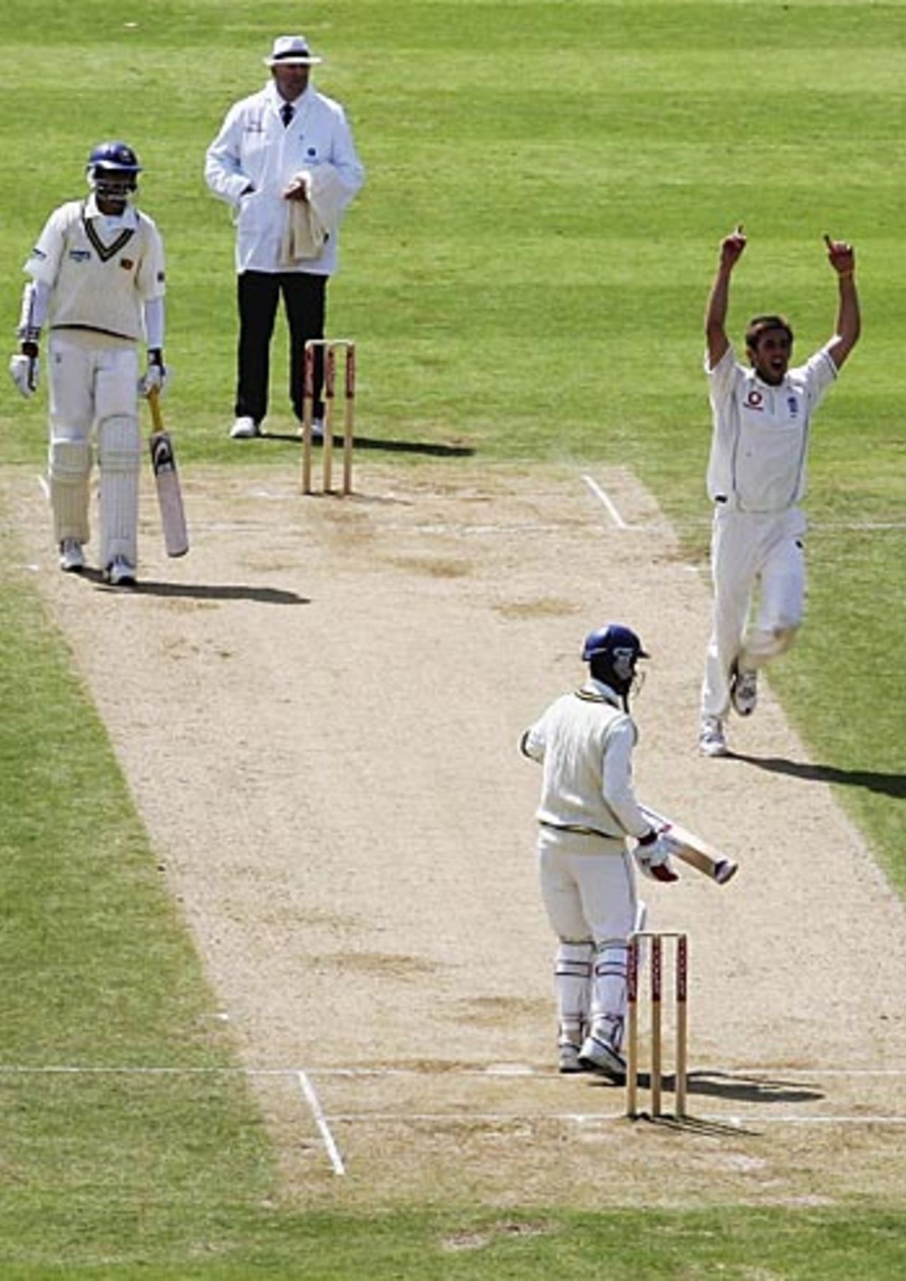 Liam Plunkett celebrates another wicket, England v Sri Lanka, 2nd Test, Edgbaston, May 28, 2006