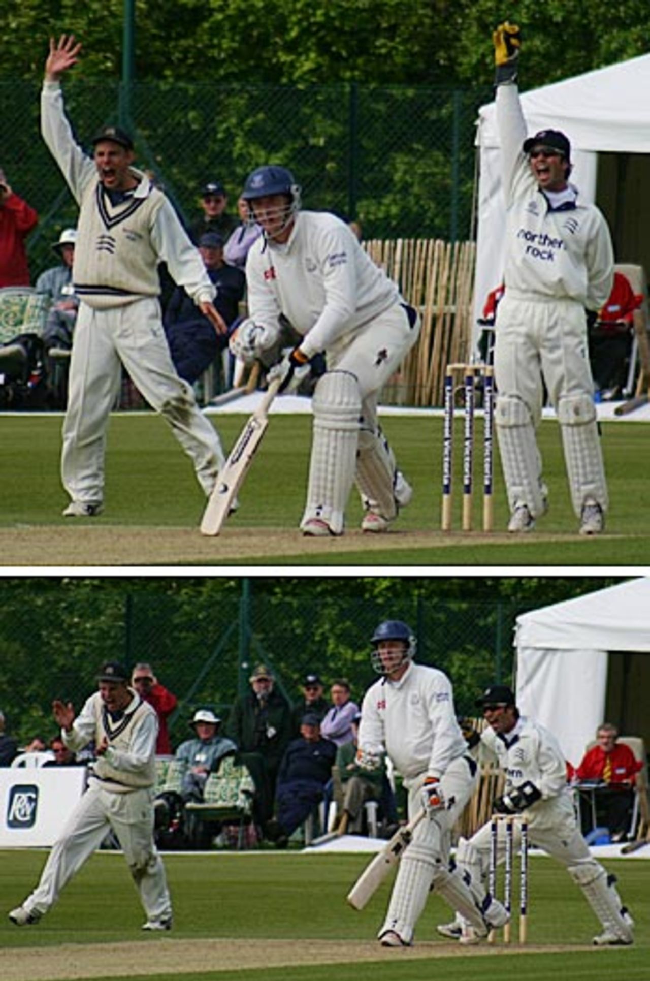Ol Rayner is trapped lbw by James Dalrymple for a second-ball duck, Sussex v Middlesex, County Championship, Horsham, May 31, 2006