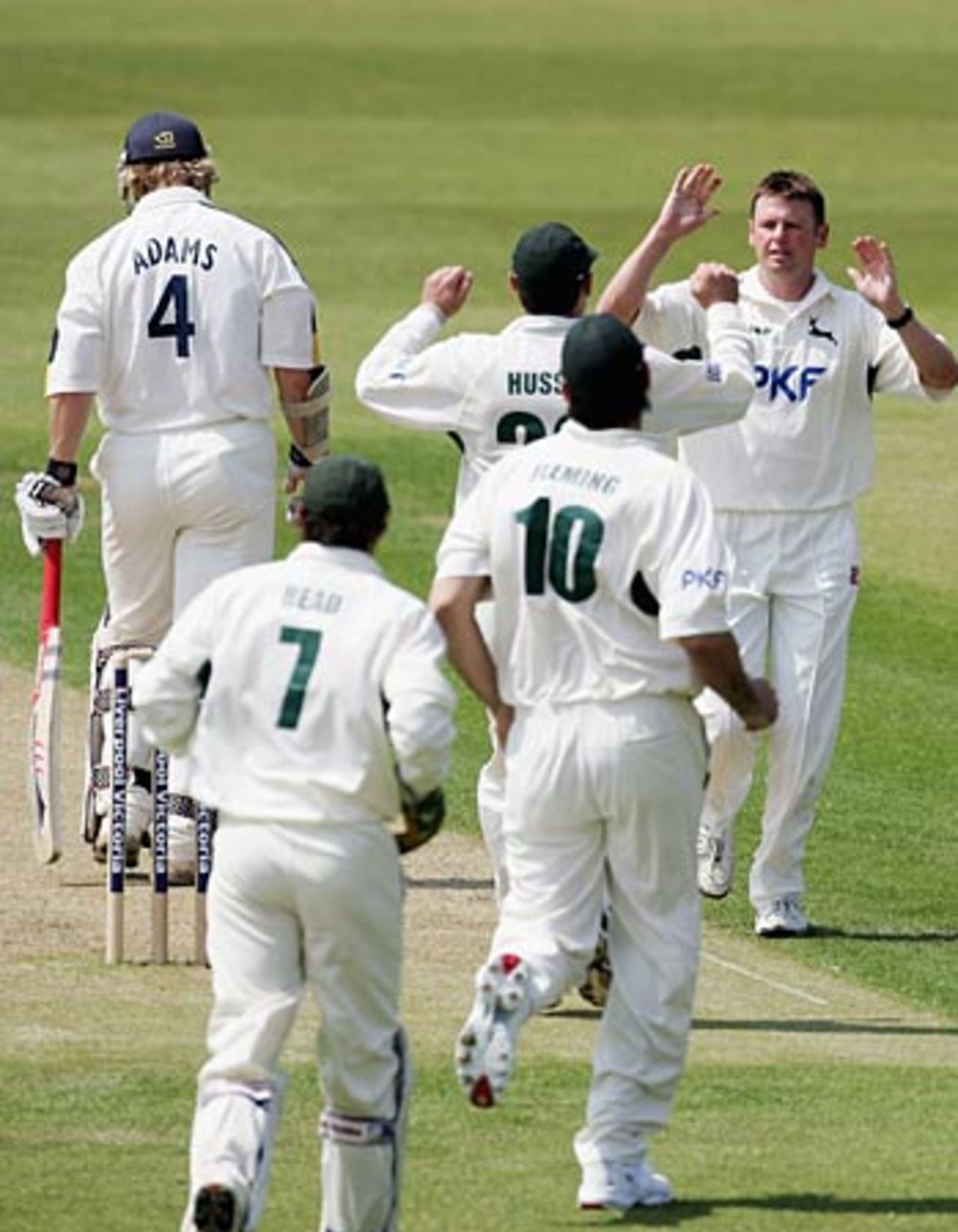 Andy Harris celebrates removing James Adams as Nottinghamshire make early inroads, Hampshire v Nottinghamshire, County Championship, Rose Bowl, June 7, 2006