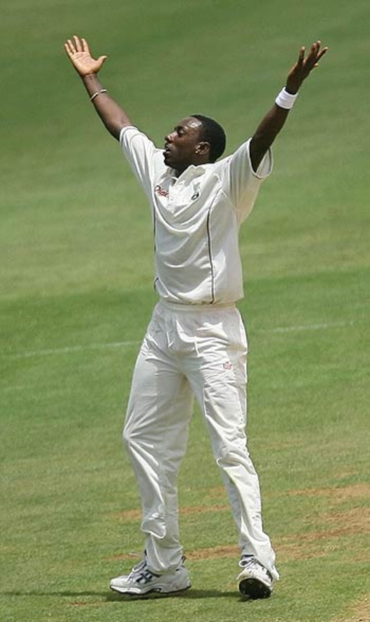 Pedro Collins struck a double blow for West Indies after lunch, West Indies v India, 2nd Test, St Lucia, June 10, 2006