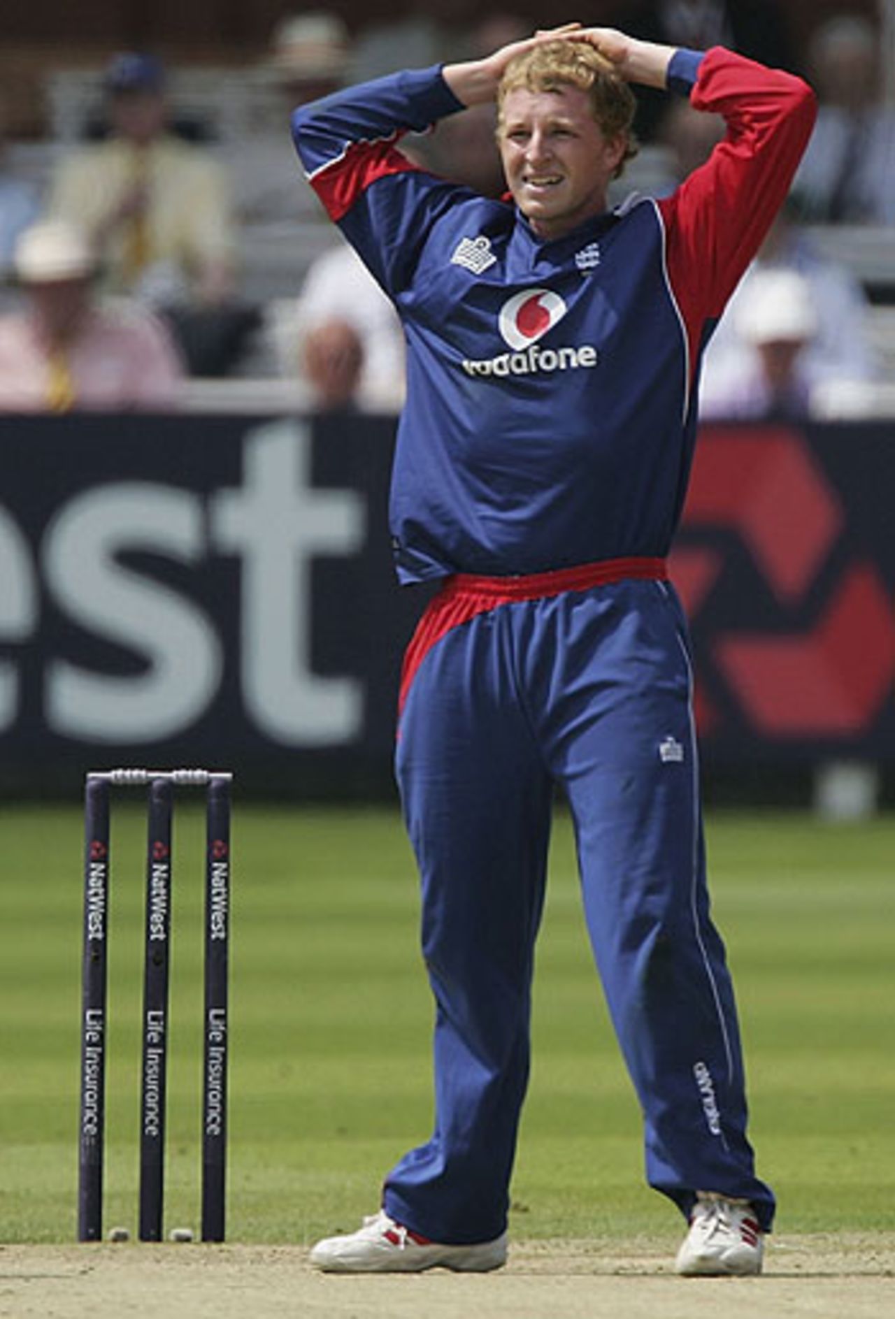 Jamie Dalrymple feels the frustration, England v Sri Lanka, 1st ODI, Lord's, June 17, 2006