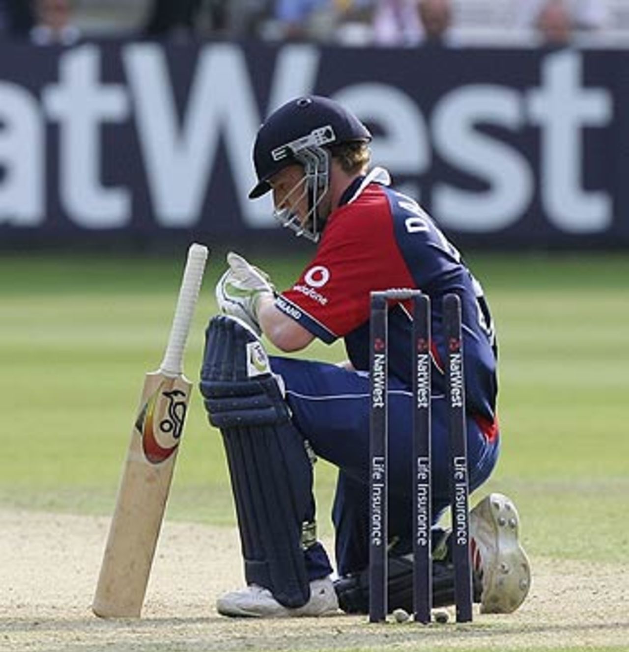 Jamie Dalrymple is despondent after losing his wicket, England v Sri Lanka, 1st ODI, Lord's, June 17, 2006