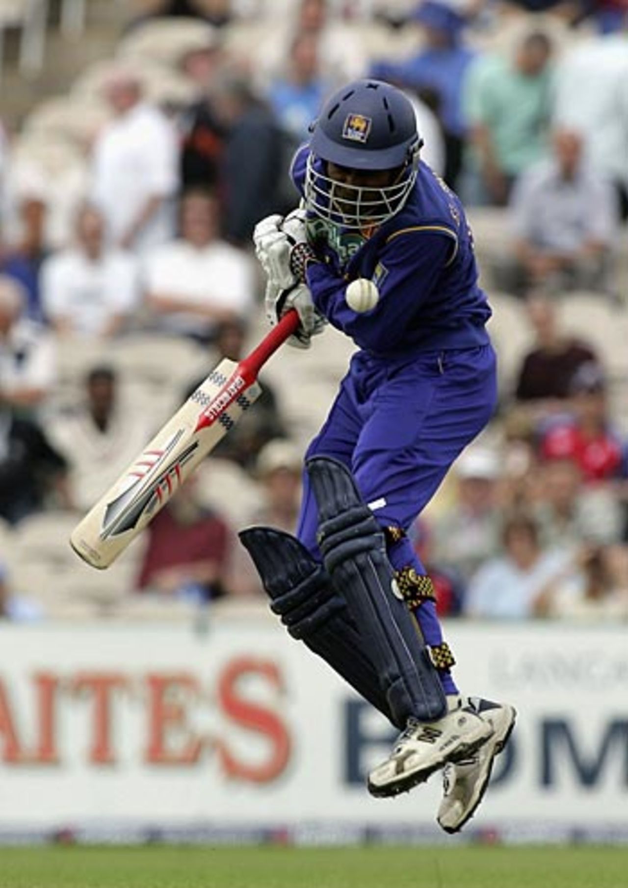 Upul Tharanga is struck on the shoulder by Steve Harmison, England v Sri Lanka, 4th ODI, Old Trafford, June 28, 2006