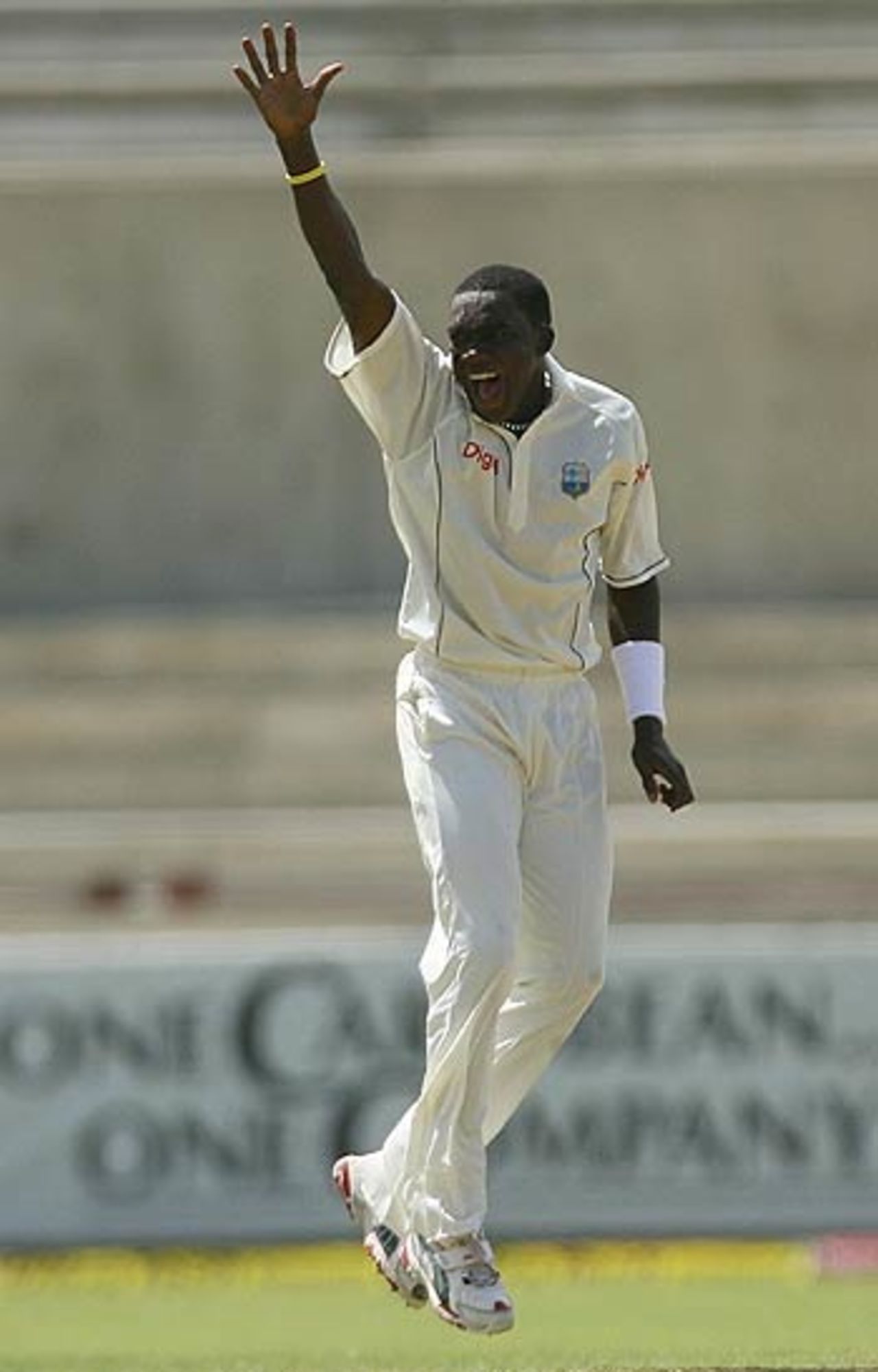Jerome Taylor appeals against Virender Sehwag, West Indies v India, 4th Test, Jamaica, 2nd day, July 1, 2006