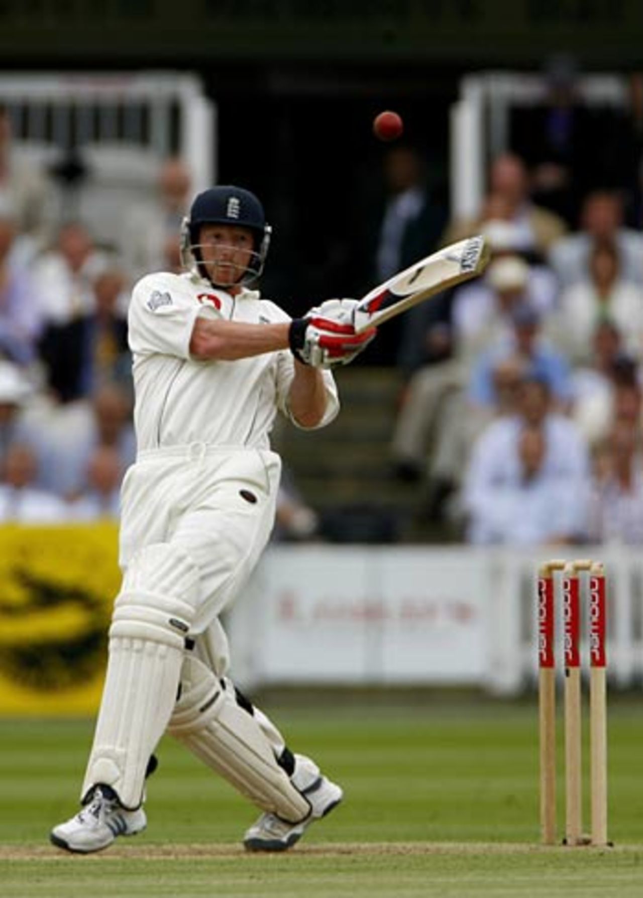 Paul Collingwood pulls as England pile on the runs during the afternoon, England v Pakistan, 1st Test, Lord's, July 13, 2006
