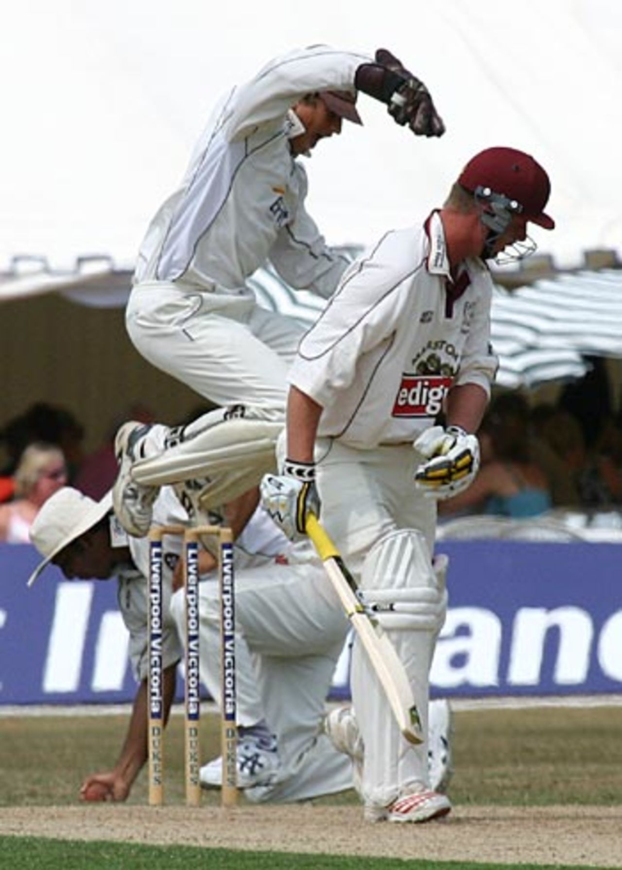 Azhar Mahmood catches Neil Edwards to the delight of Jonathan Batty, Surrey v Somerset, Guildford, July 19, 2006