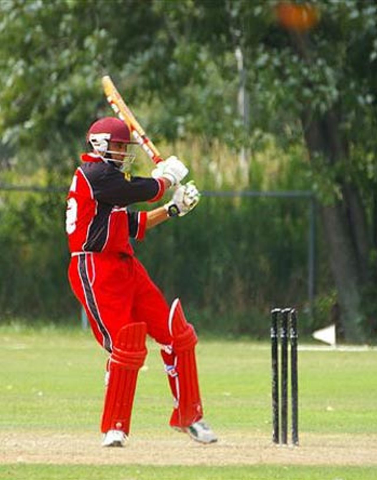 Sandeep Jyoti, the Canadian batsman, pulls the ball to the boundary in Canada's win over USA at Maple Leaf Cricket Club in Canada,  August 26, 2006