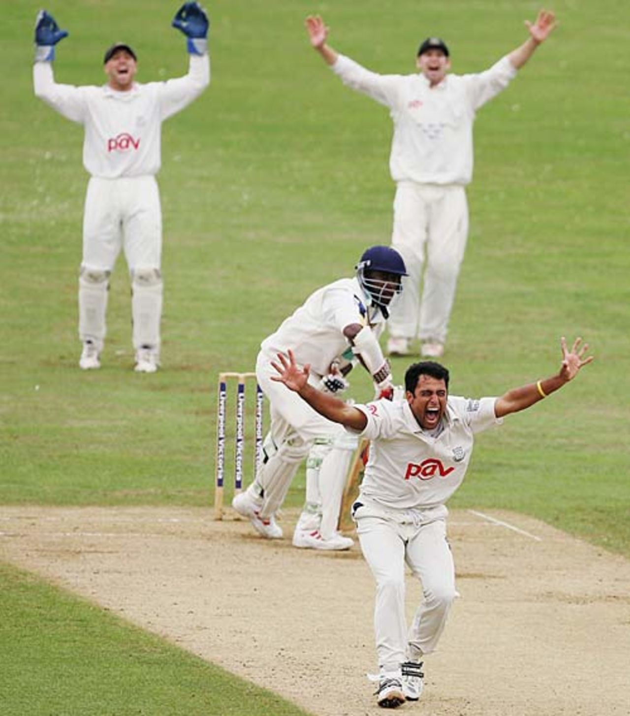 Yasir Arafat appeals for the wicket of Michael Carberry, Sussex v Hampshire, County Championship, Hove, September 3, 2006