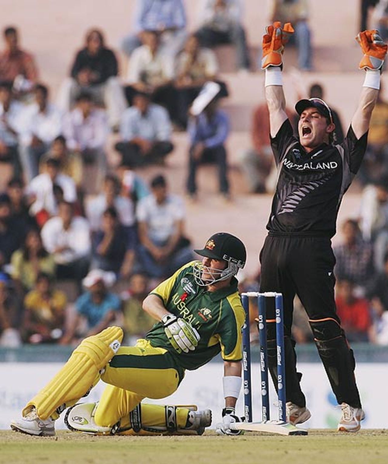 Brendon McCullum appeals successfully as Damien Martyn is trapped in front, Australia v New Zealand, 1st semi-final, Champions Trophy, Mohali, November 1, 2006 