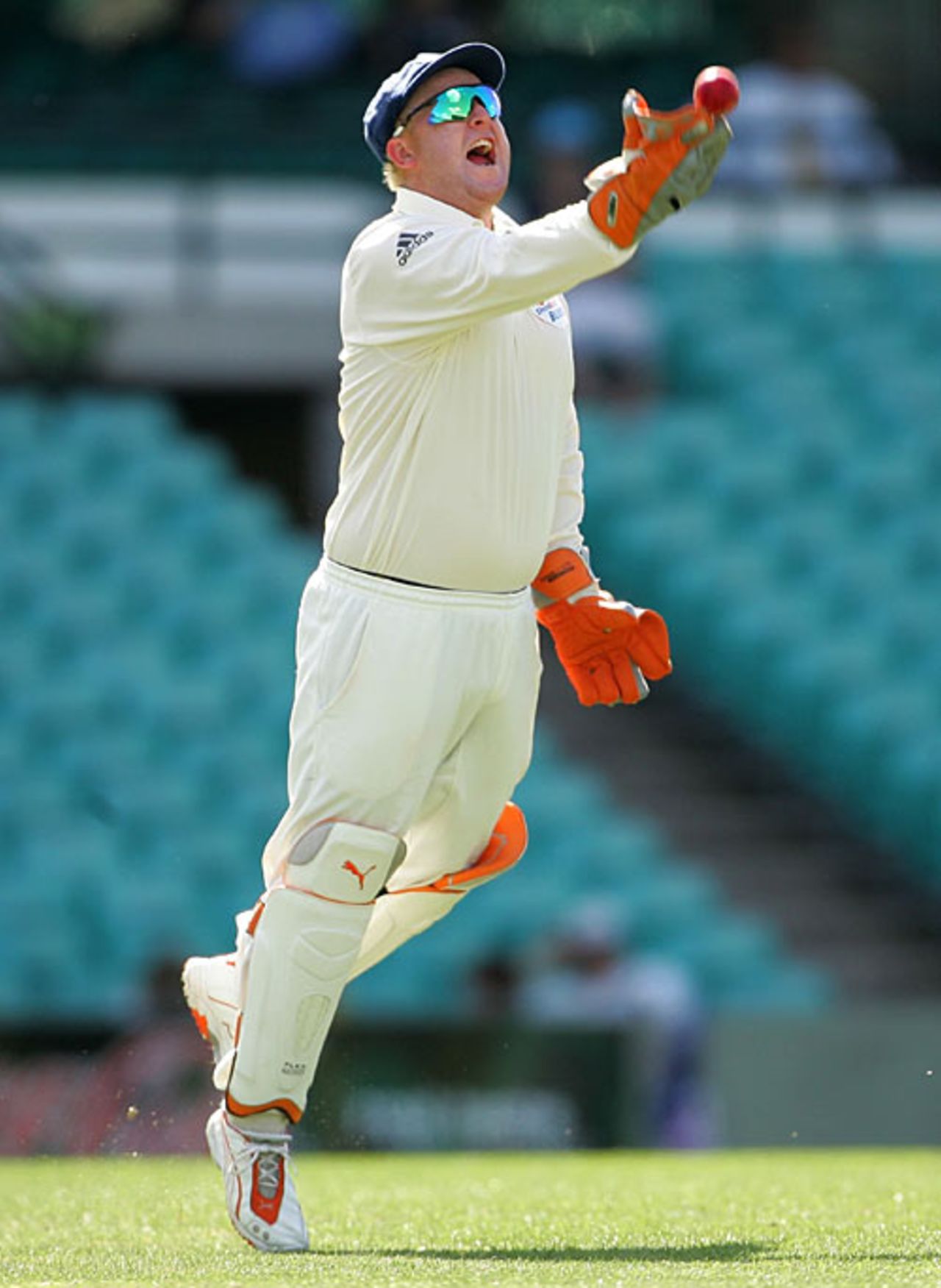 Daniel Smith celebrates a wicket, New South Wales v England, Sydney, November 13, 2006