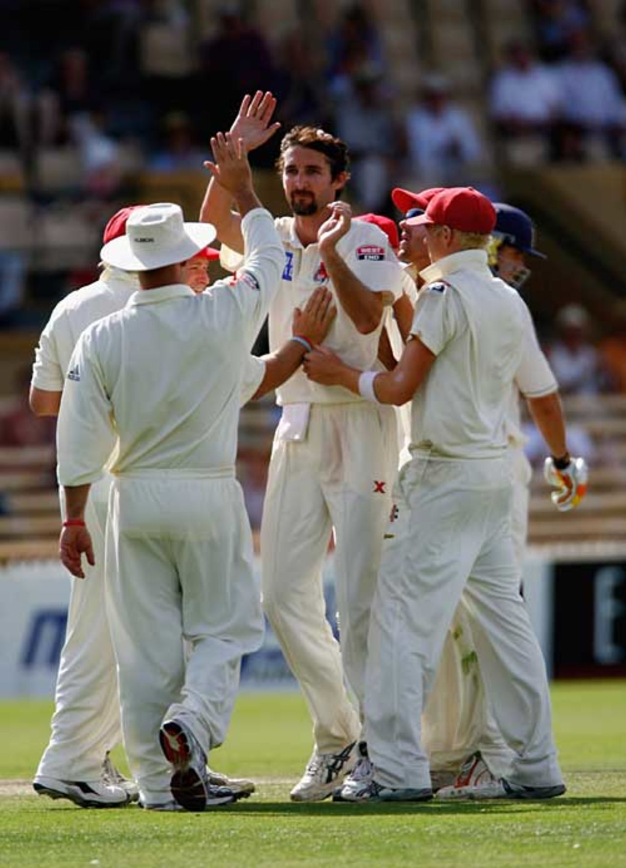 Dizzy spell: Jason Gillespie gets the high-fives after removing Kevin Pietersen, South Australia v England XI, Adelaide Oval, November 18, 2006