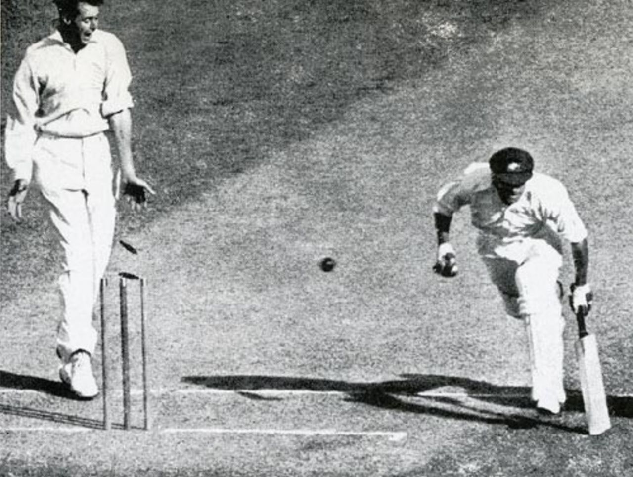 Don Bradman survives a direct hit from Joe Hardstaff on his way to 169 - Ken Farnes appeals in hope, Australia v England, MCG, 5th Test,  March 6, 1937