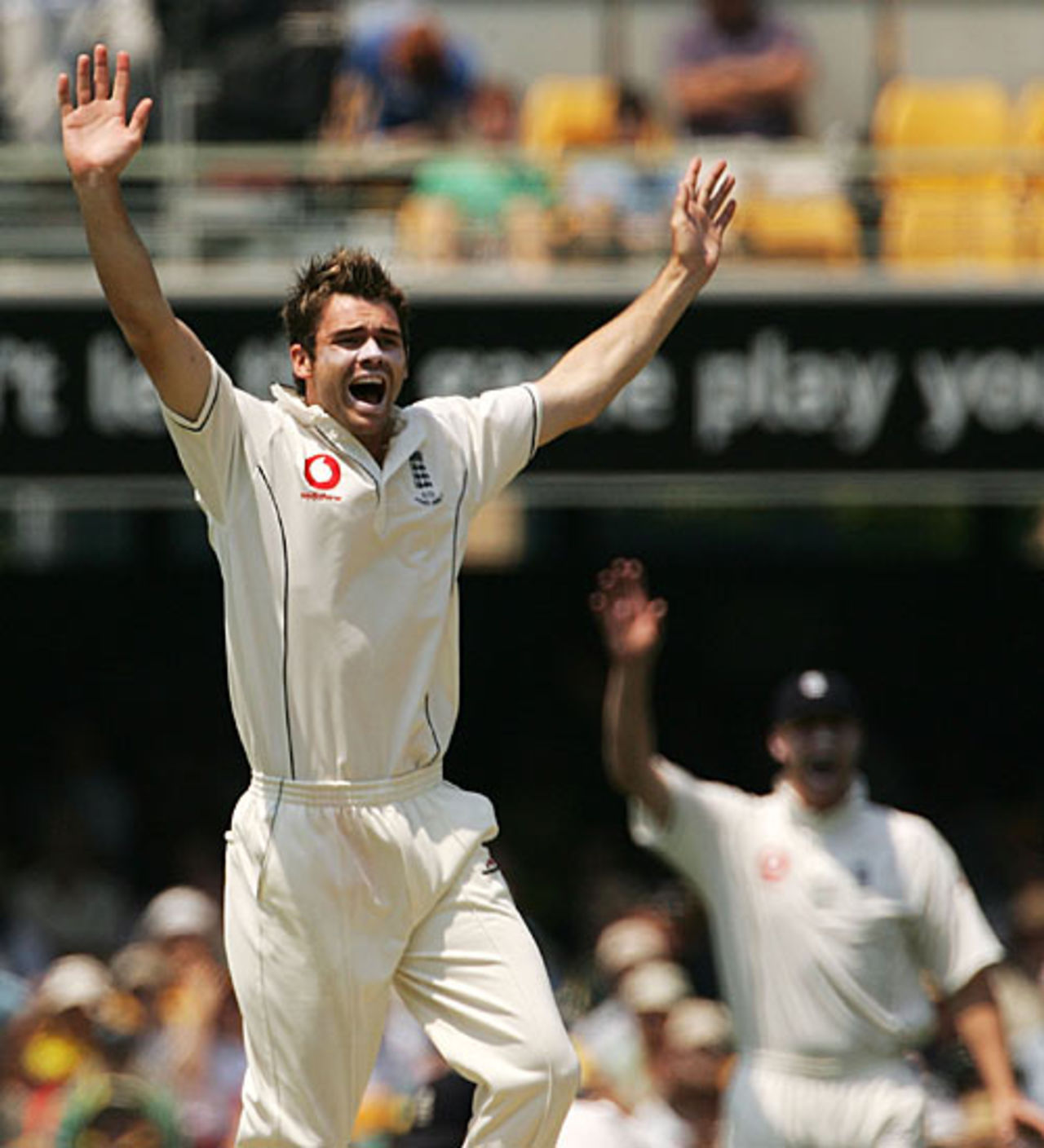 James Anderson appeals, unsuccessfully, for Michael Hussey's wicket, Australia v England, 1st Test, Brisbane, November 24, 2006
