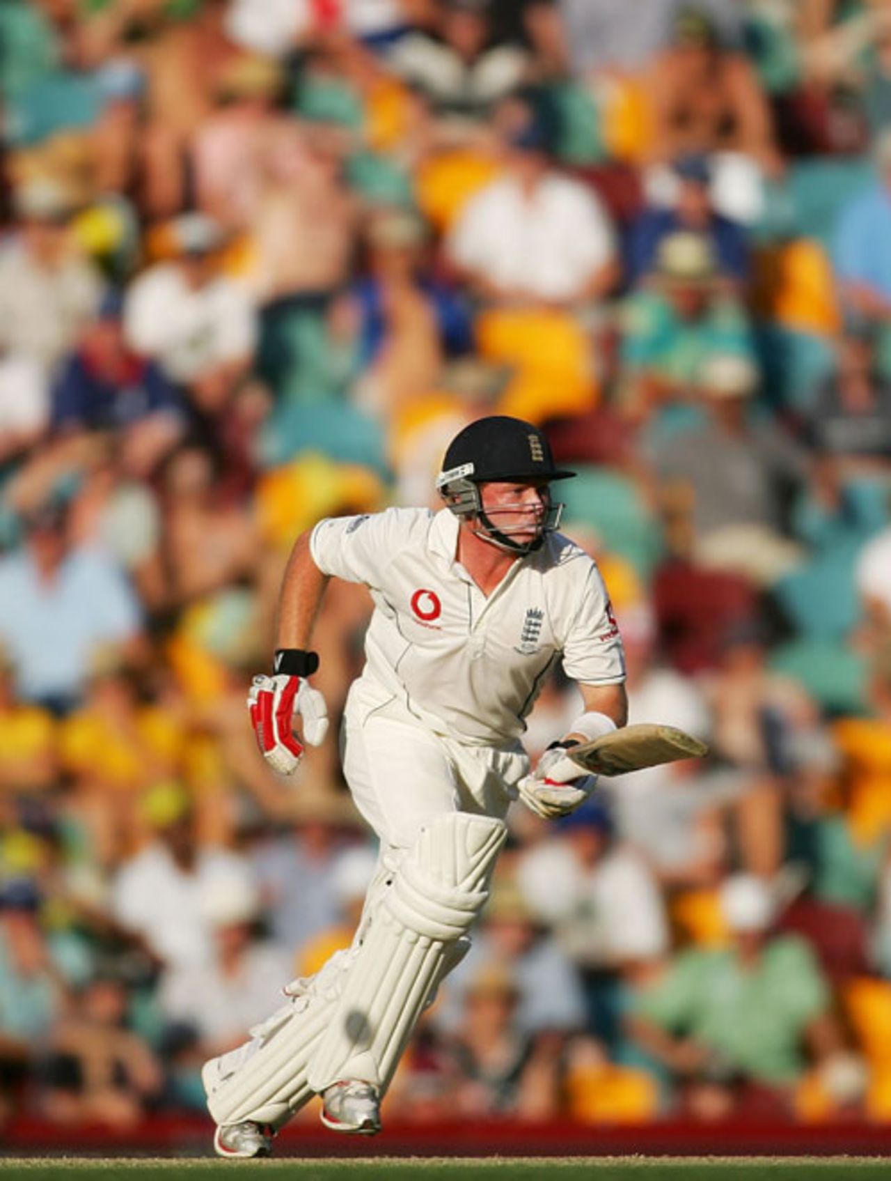 Ian Bell in a sea of yellow and green, Australia v England, 1st Test, Brisbane, November 24, 2006
