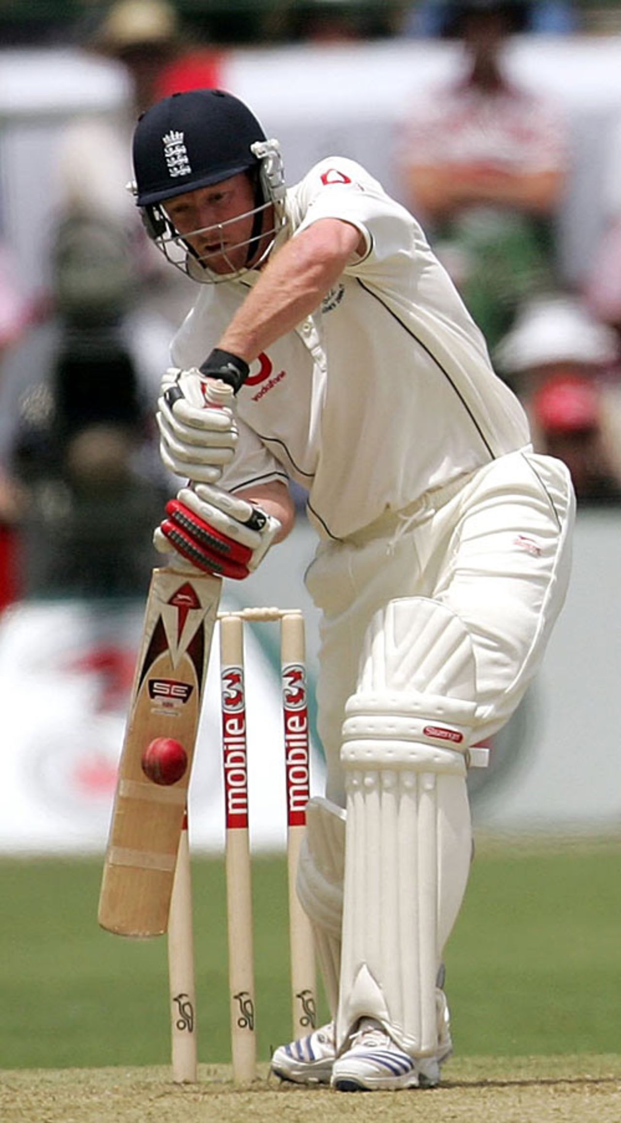 Paul Collingwood comes forward to defend, Australia v England, 2nd Test, Adelaide, December 1, 2006