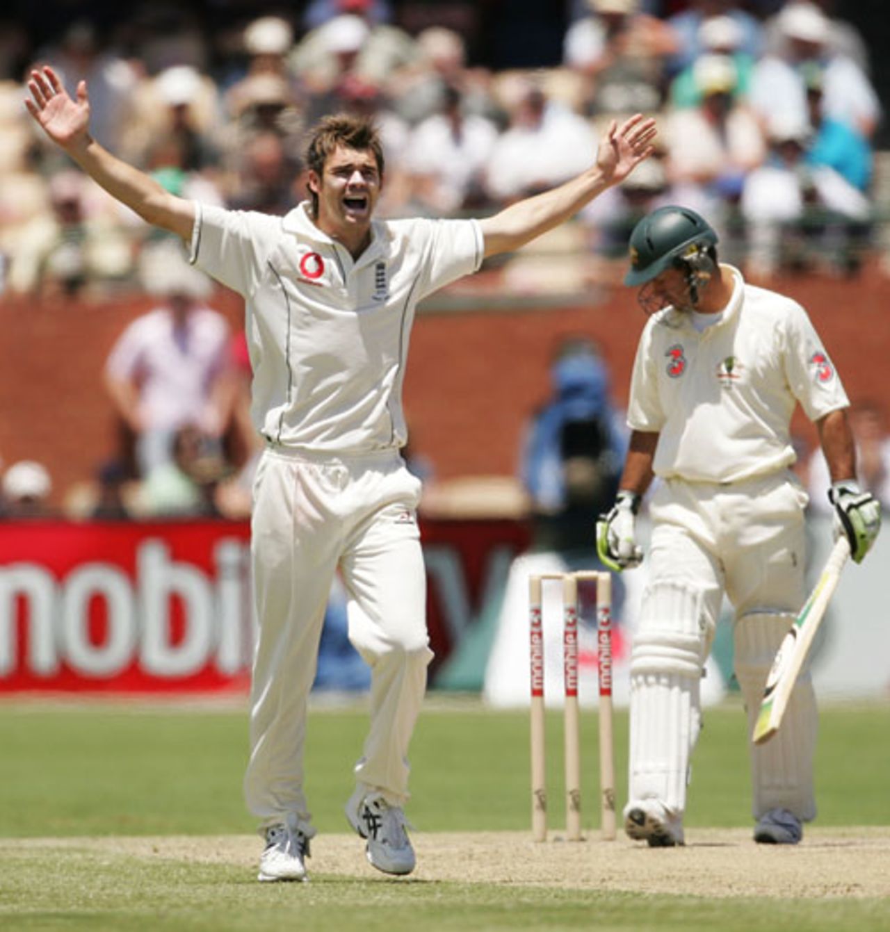 James Anderson appeals enthusiastically but unsuccessfully against Ricky Ponting , Australia v England, 2nd Test, Adelaide, December 3, 2006