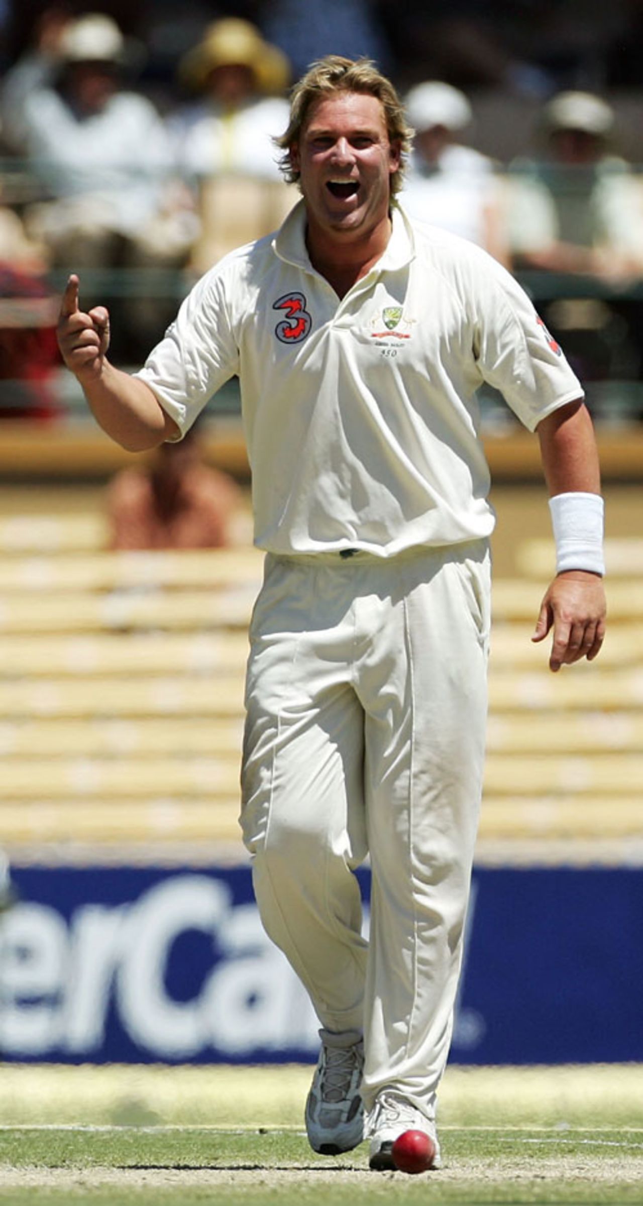 Shane Warne celebrates running out Ian Bell, Australia v England, 2nd Test, Adelaide, December 4, 2006