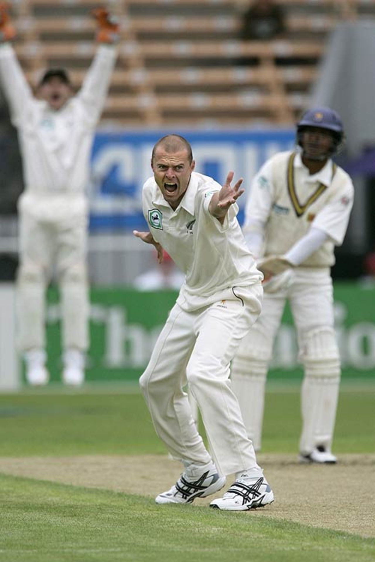 Chris Martin appeals in hope of getting his 100th Test wicket, New Zealand v Sri Lanka, 1st Test, Christchurch, 1st day