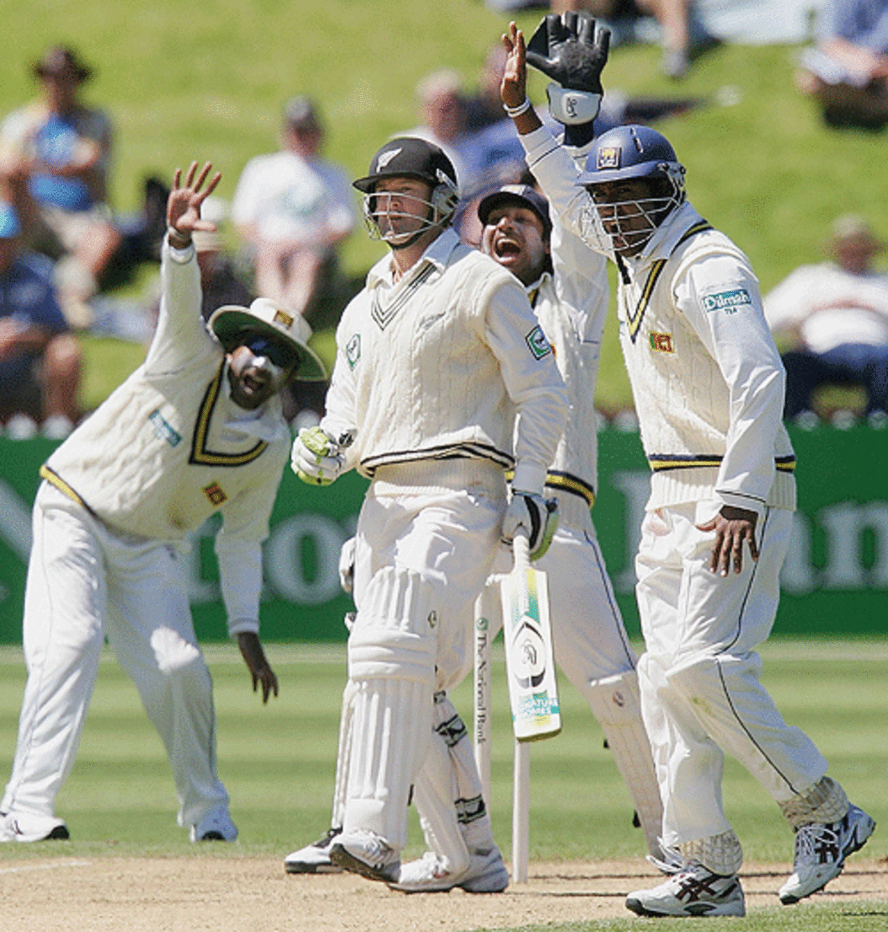 The Sri Lankans go up in successful appeal against Nathan Astle, New Zealand v Sri Lanka, 2nd Test, Wellington, December 18, 2006