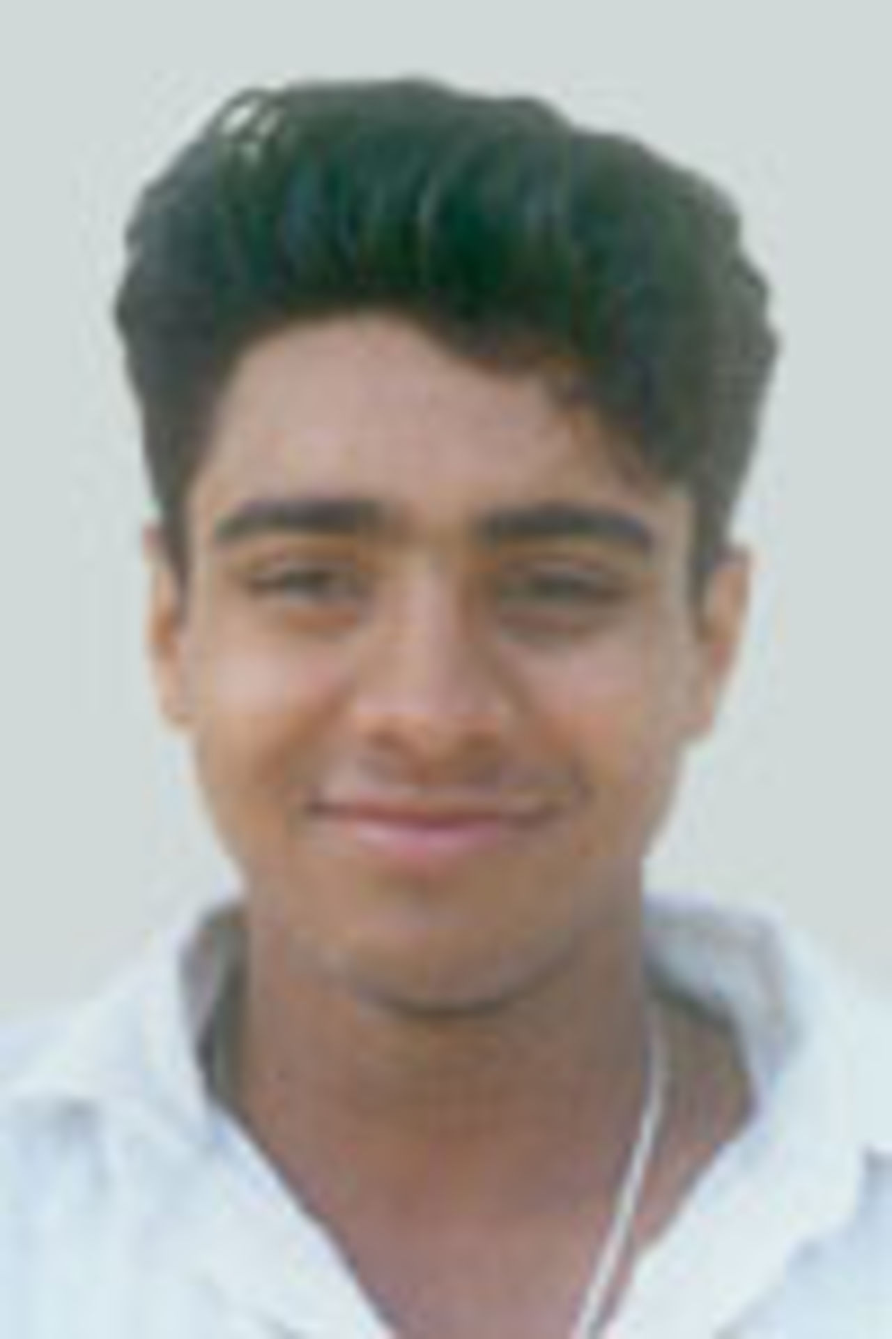 Manish Sharma, Portrait