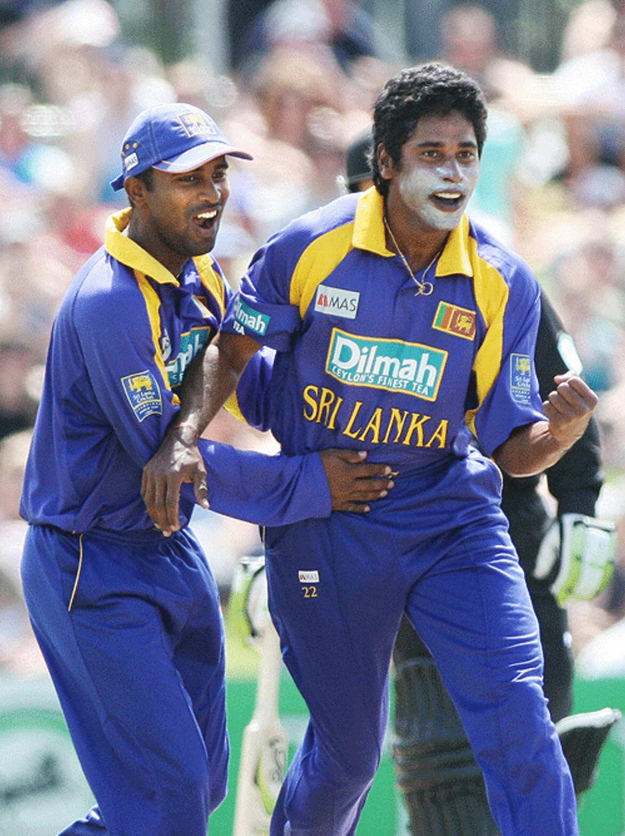 Chaminda Vaas picked up 3 for 50, New Zealand v Sri Lanka, 1st ODI, Napier, December 28, 2006