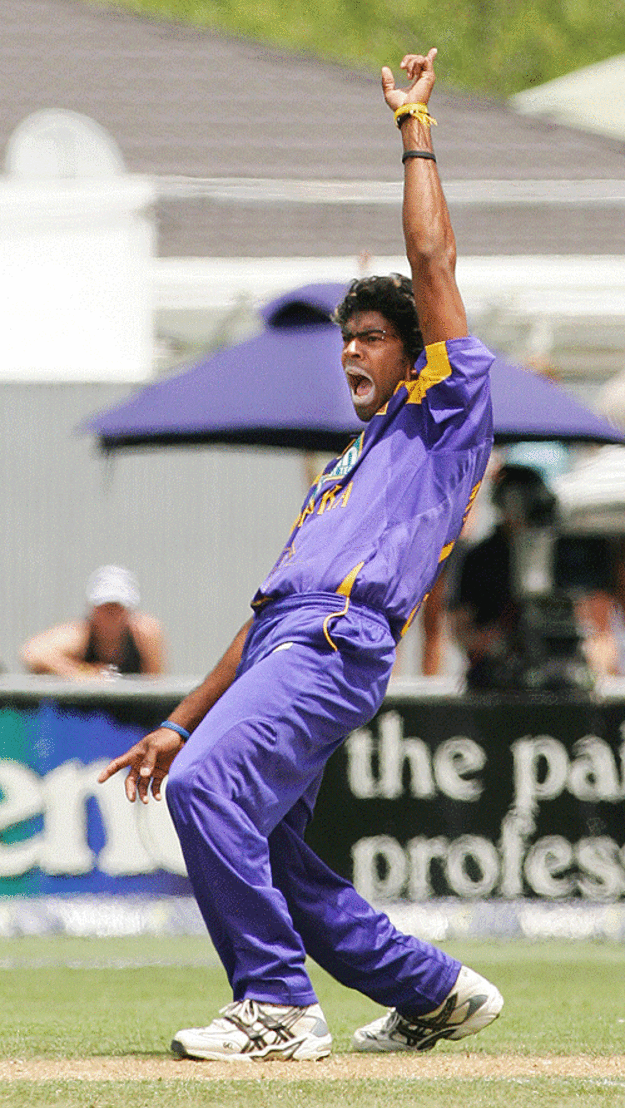 Lasith Malinga took some stick but used his yorkers well at the death, New Zealand v Sri Lanka, 1st ODI, Napier, December 28, 2006