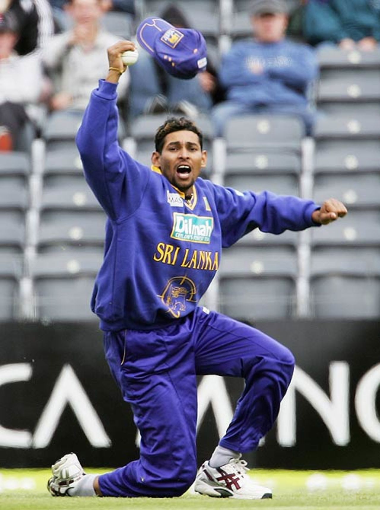 Tillakaratne Dilshan claims a doubtful catch off Ross Taylor, New Zealand v Sri Lanka, 3rd ODI, Christchurch, January 2, 2007