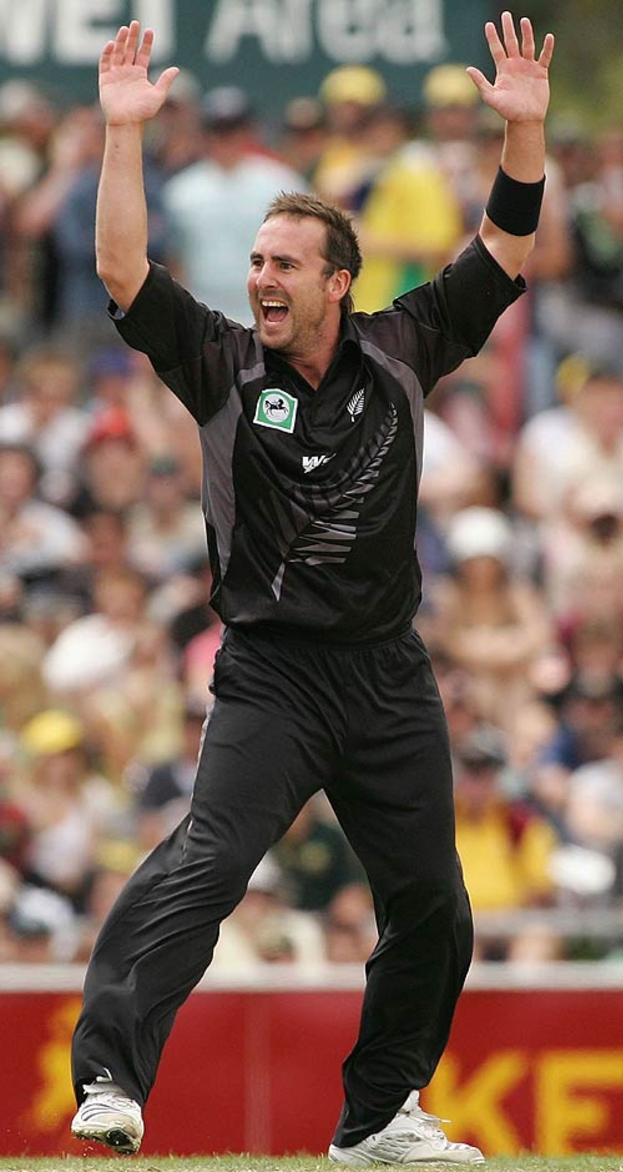 Mark Gillespie celebrates the first of his wickets, Australia v New Zealand, CB Series, 2nd match, Hobart, January 14, 2007
