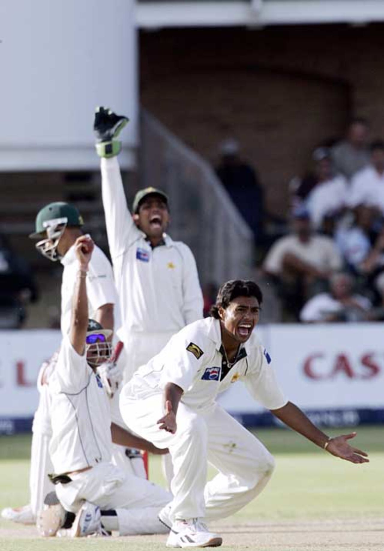 Danish Kaneria pleads for an lbw against Ashwell Prince, South Africa v Pakistan, 2nd Test, Port Elizabeth, January 20, 2007