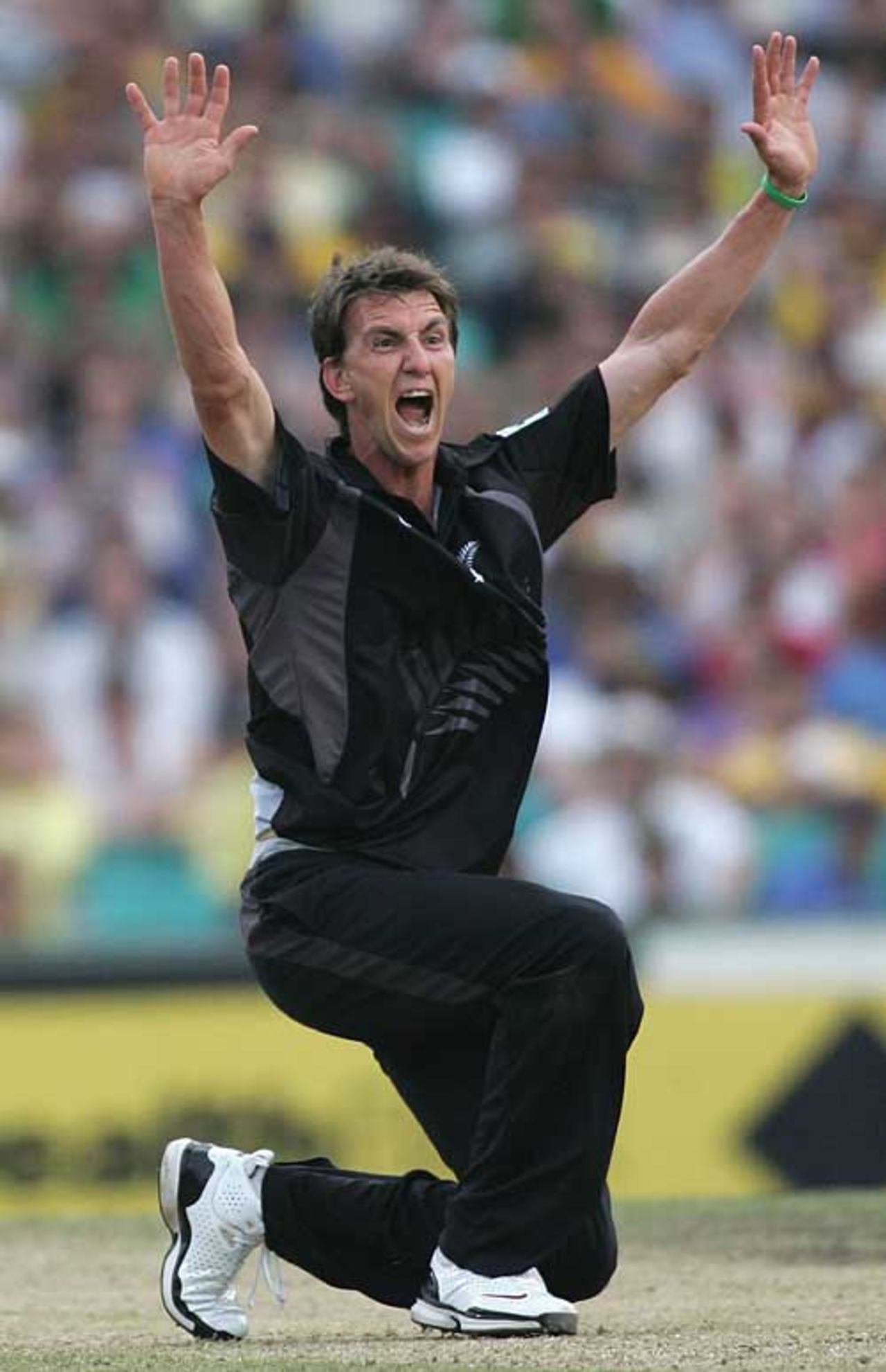 Michael Mason appeals for Ricky Ponting's wicket, Australia v New Zealand, CB Series, 5th match, Sydney, January 21, 2007