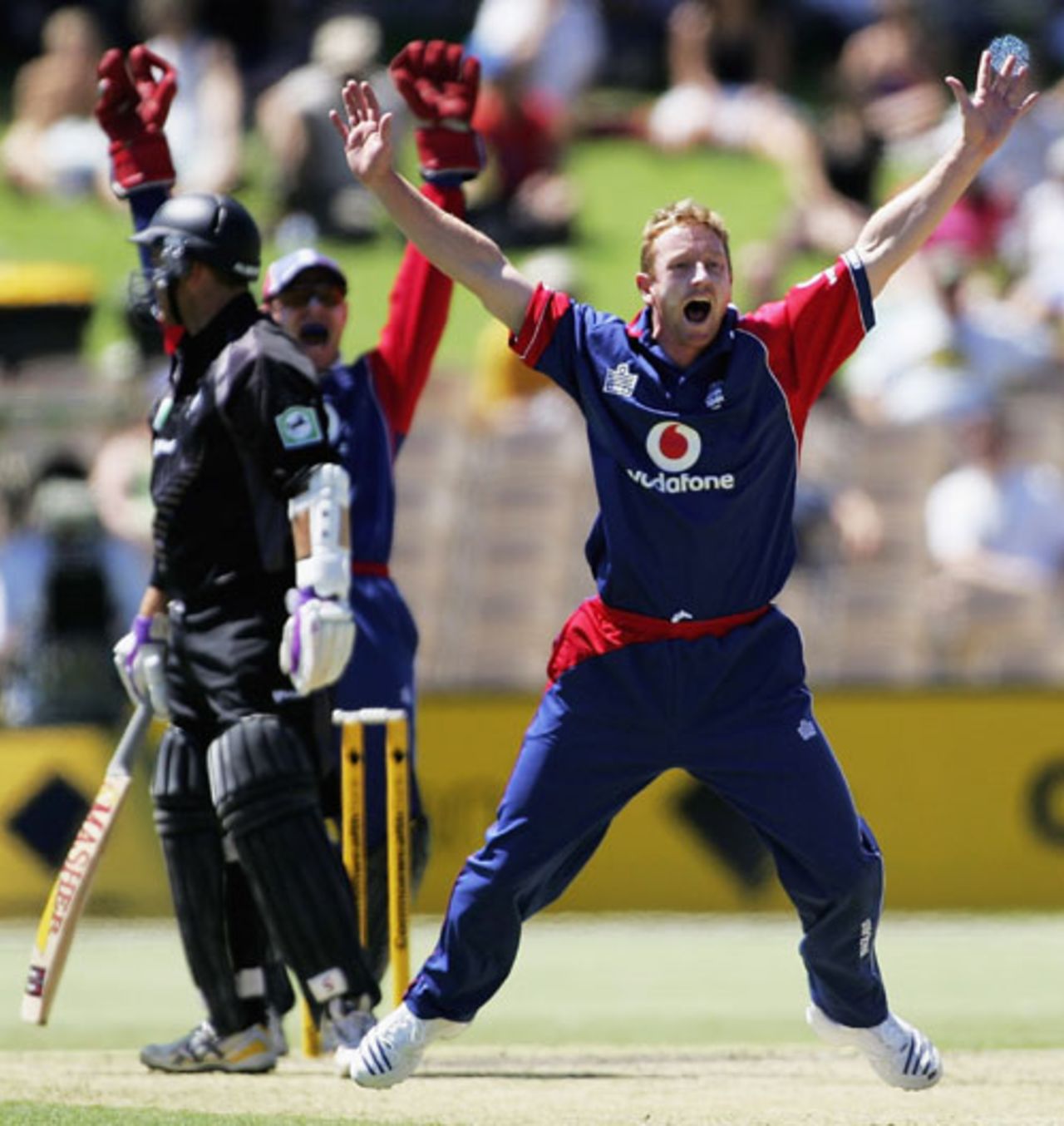 Paul Collingwood enthusiastically - and successfully - appeals against Craig McMillan, England v New Zealand, CB Series, Adelaide, January 23, 2007