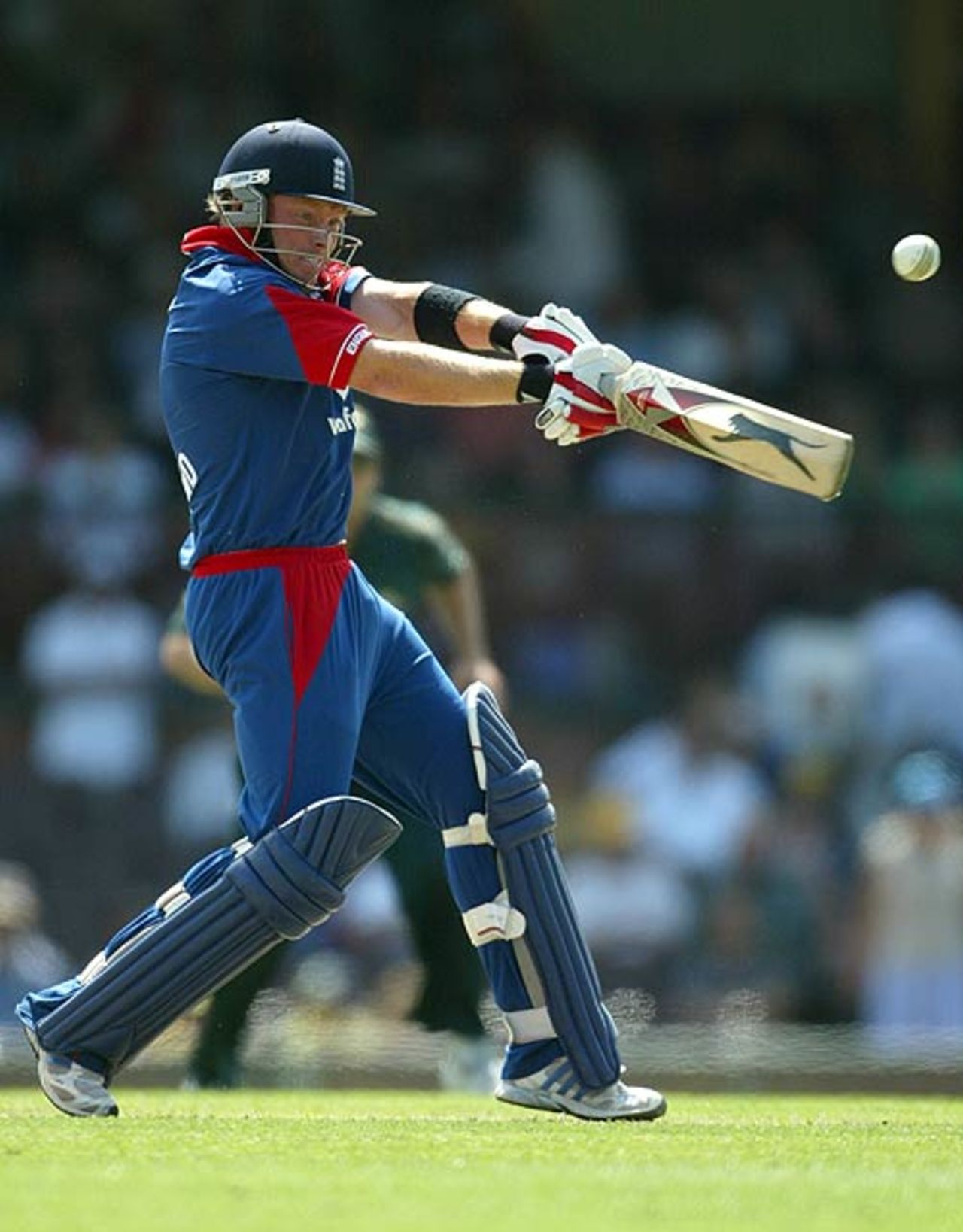 Ian Bell hammers a ball through the off side on his way to a half-century, Australia v England, CB Series, 10th match, Sydney, February 2, 2007