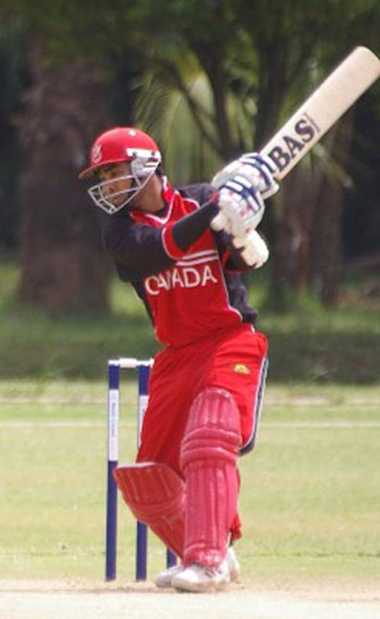 Ashish Bagai hits out on his way to his hundred, Canada v Ireland, World Cricket League, Nairobi, February 4, 2007