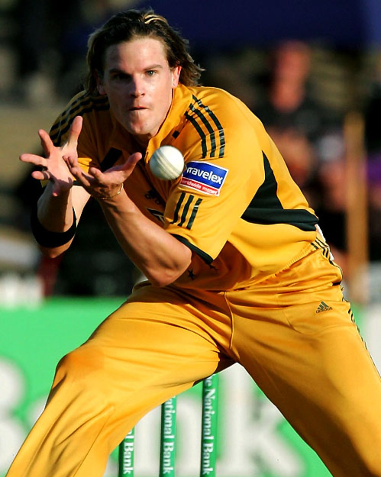 Nathan Bracken takes a return catch of Ross Taylor, New Zealand v Australia, Chappell-Hadlee Trophy, 3rd match, Hamilton, February 20, 2007