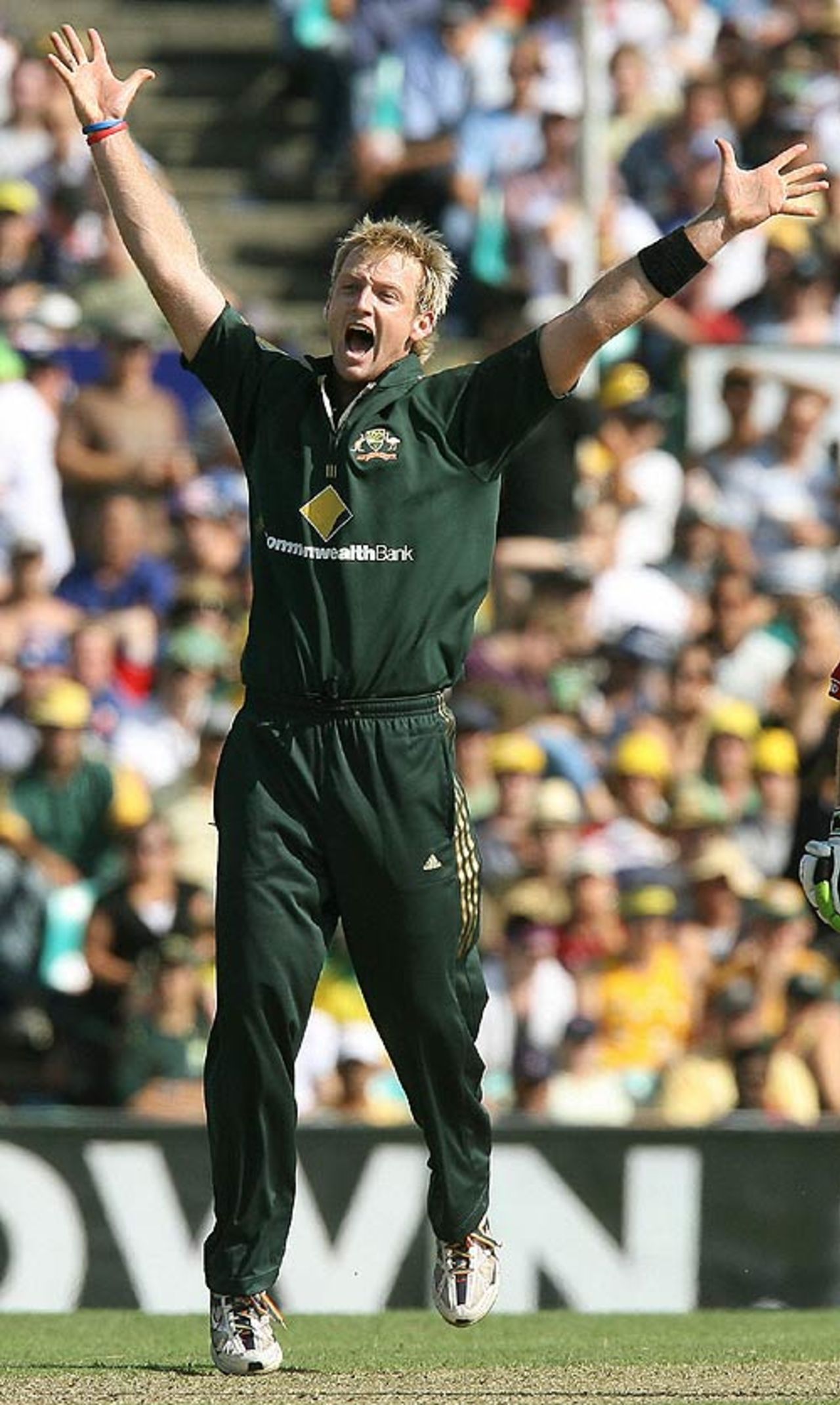 Cameron White appeals successfully for an lbw decision, Australia v England, CB Series, Sydney, February 2, 2007